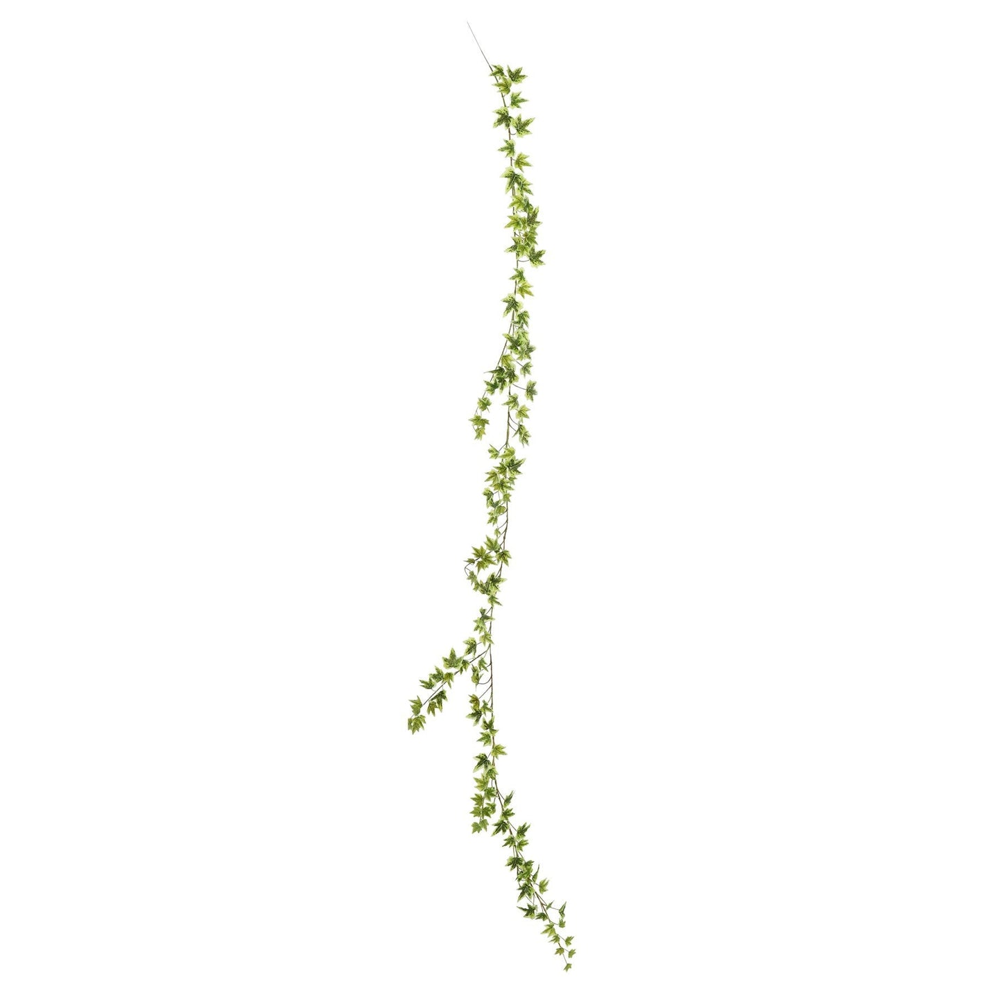 Green Variegated Ivy Garland (182cm)