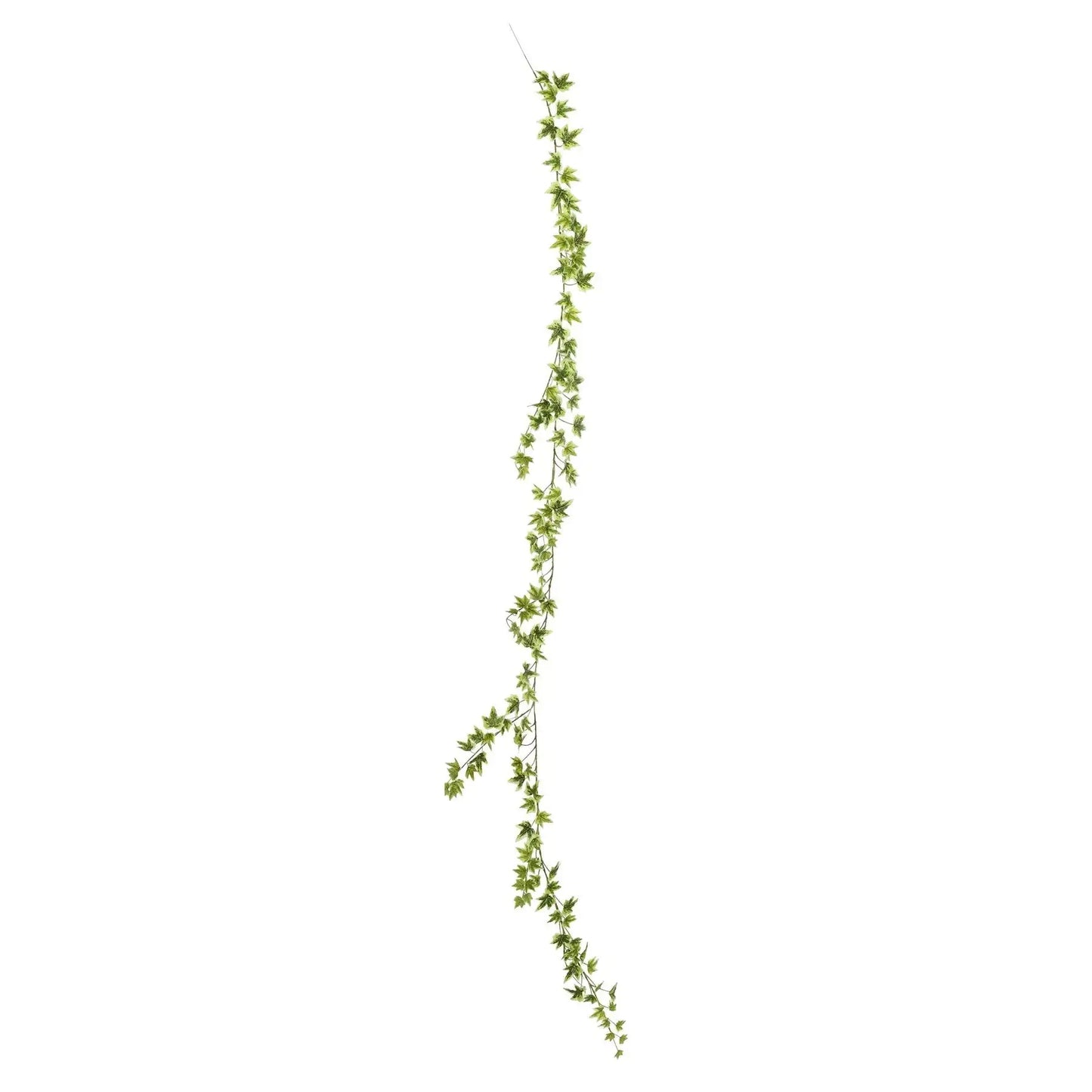Green Variegated Ivy Garland (182cm)