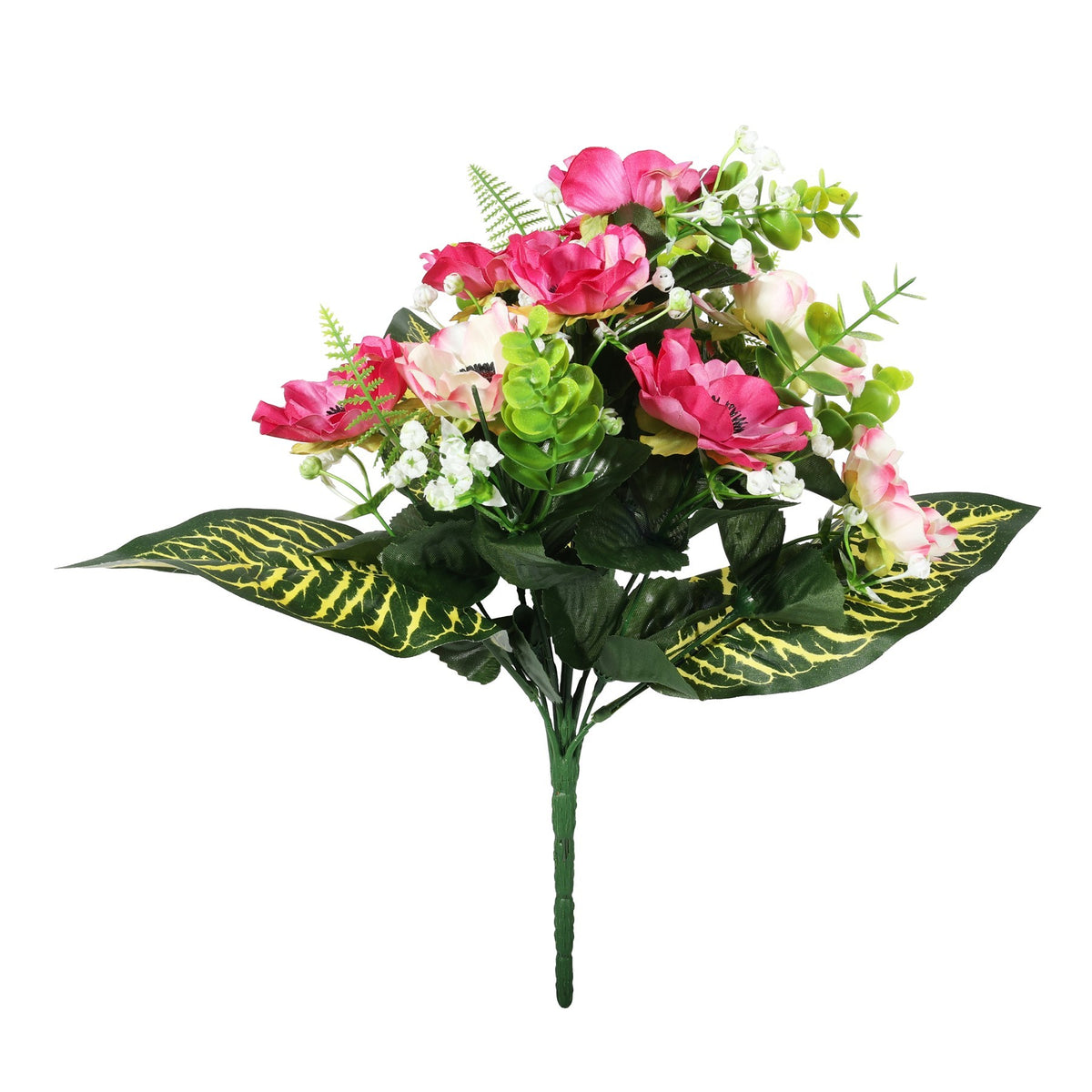 Discover the Pembroke Fuchsia Anemones Bunch (9 Stems) at Bristow Direct
