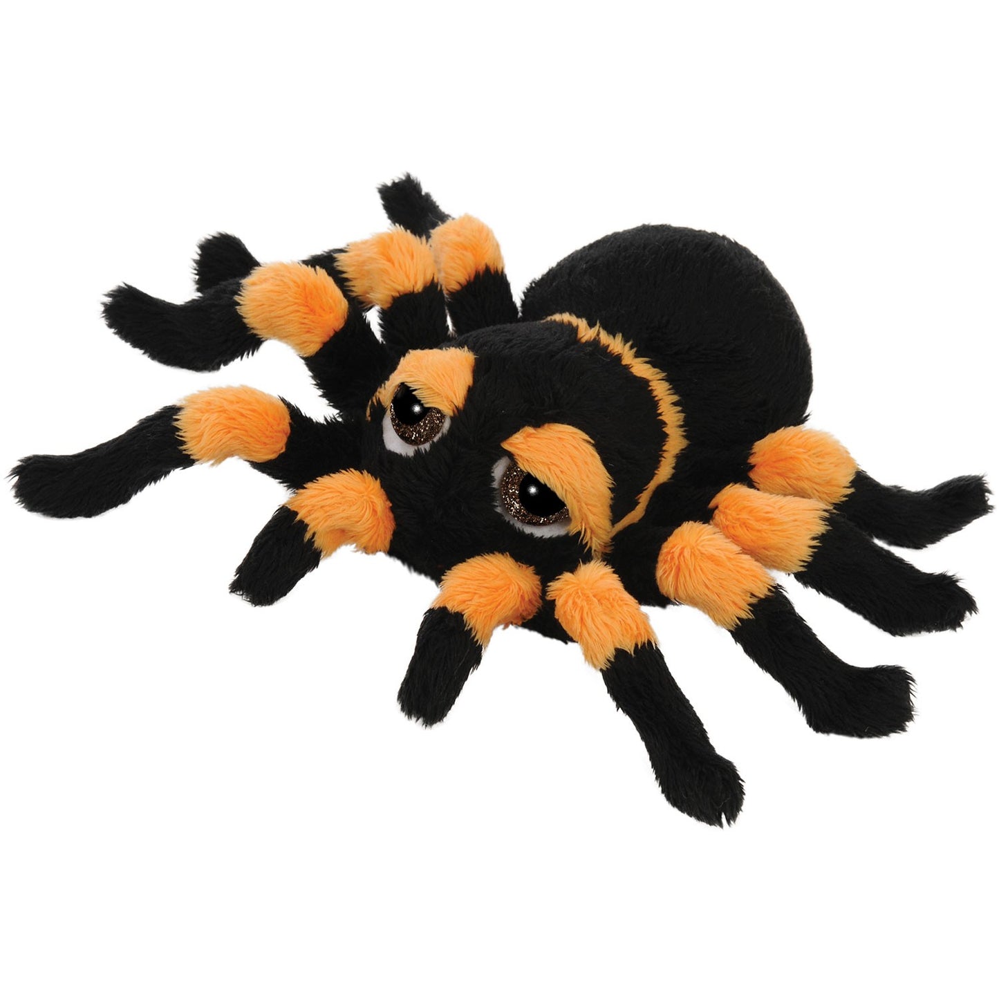 Suki - Small Orange and Black Spindra Tarantula