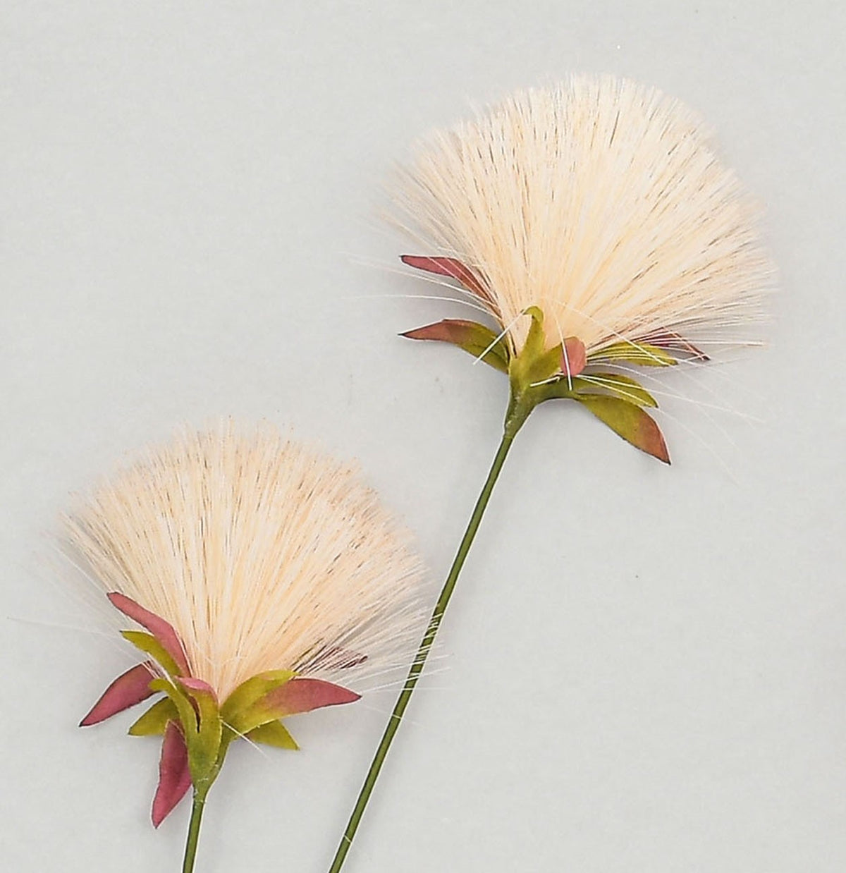 Discover the Cream Pom Pom Spray (72cm) at Bristow Direct