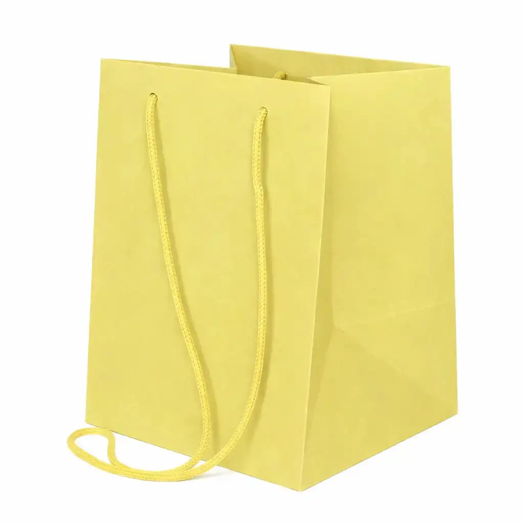 19x25cm Sage Cream Hand Tie Bag (10/100)