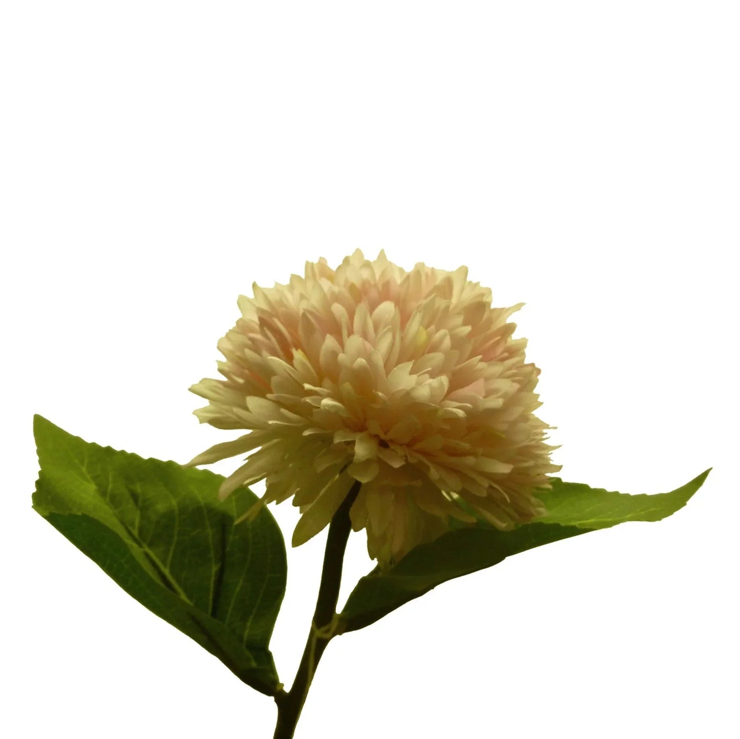 Discover the Pink Chrysanthemum (42cm) at Bristow Direct