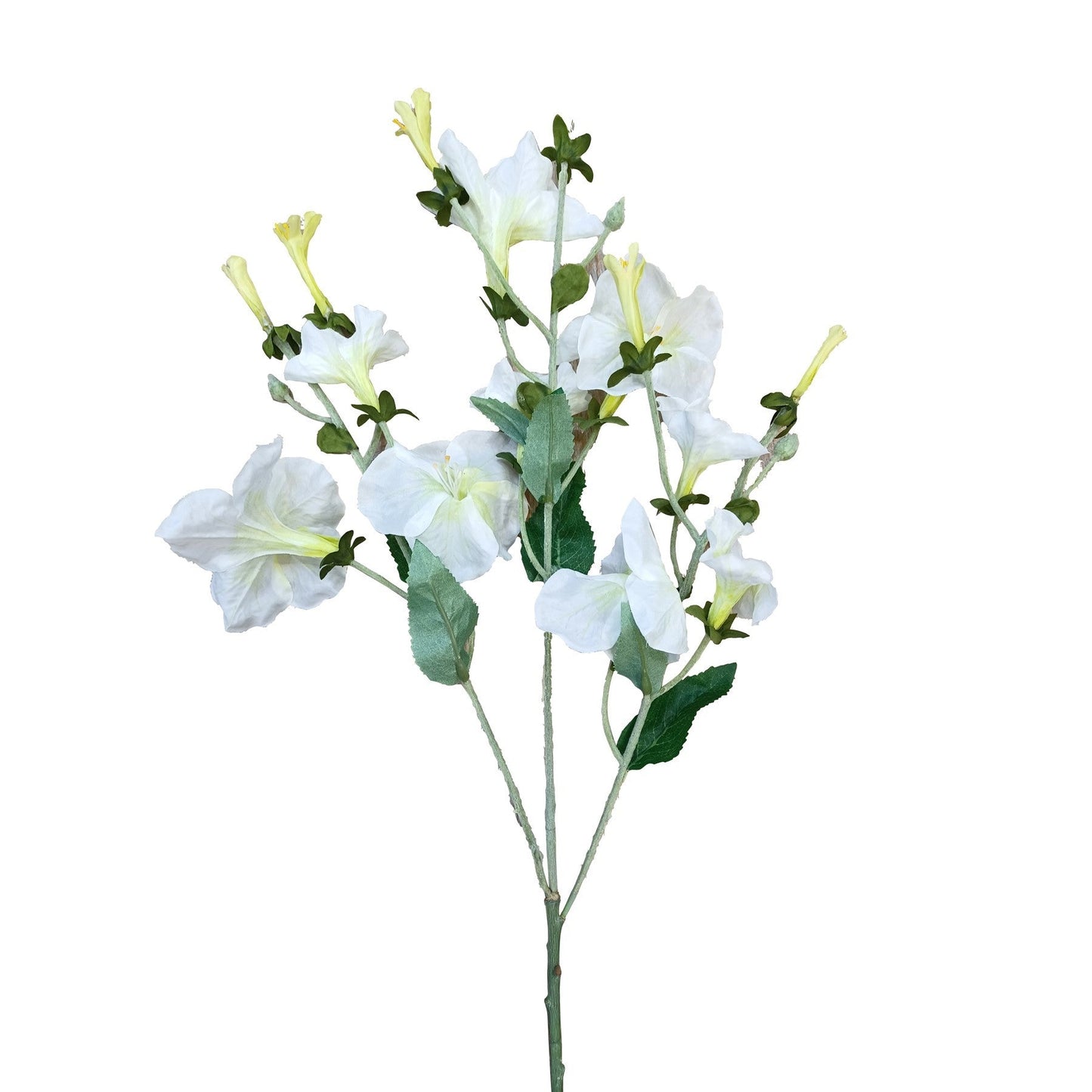 Discover the Cream Morning Glory Spray (61cm) at Bristow Direct