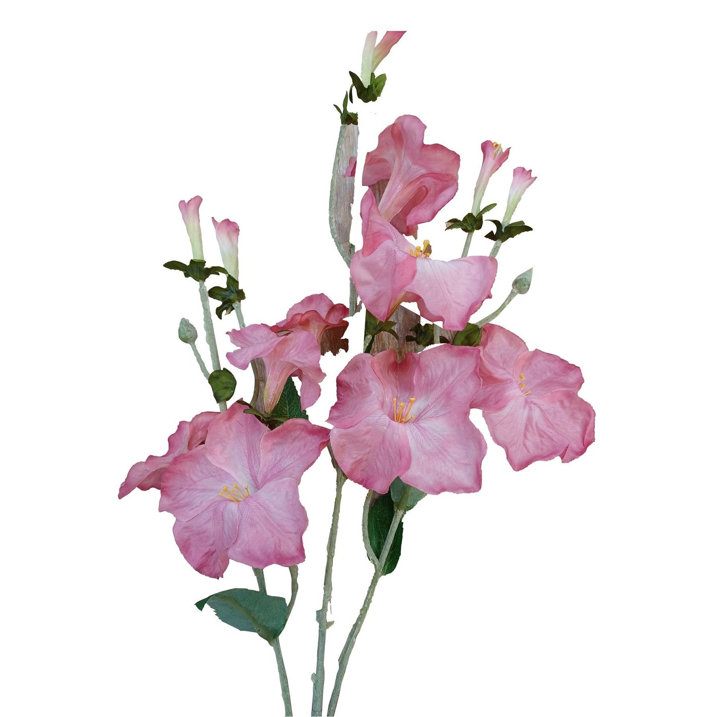 Discover the Pink Morning Glory Spray (61cm) at Bristow Direct