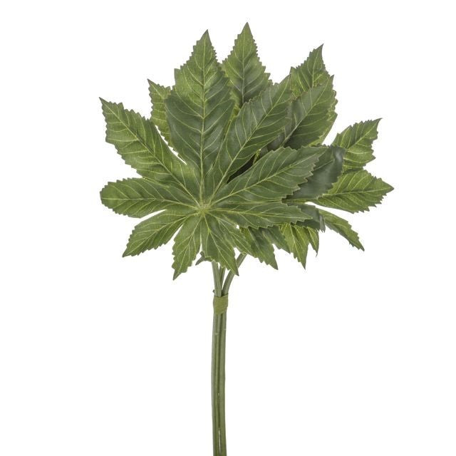 Discover the Green Aralia Leaf Bundle (32cm) at Bristow Direct