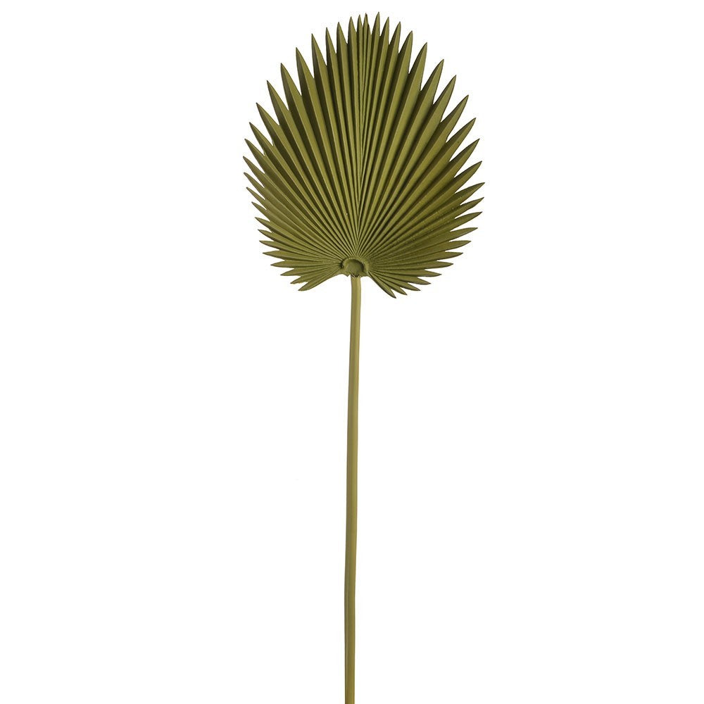 Discover the Light Green Soft Touch Fan Palm (75cm) at Bristow Direct