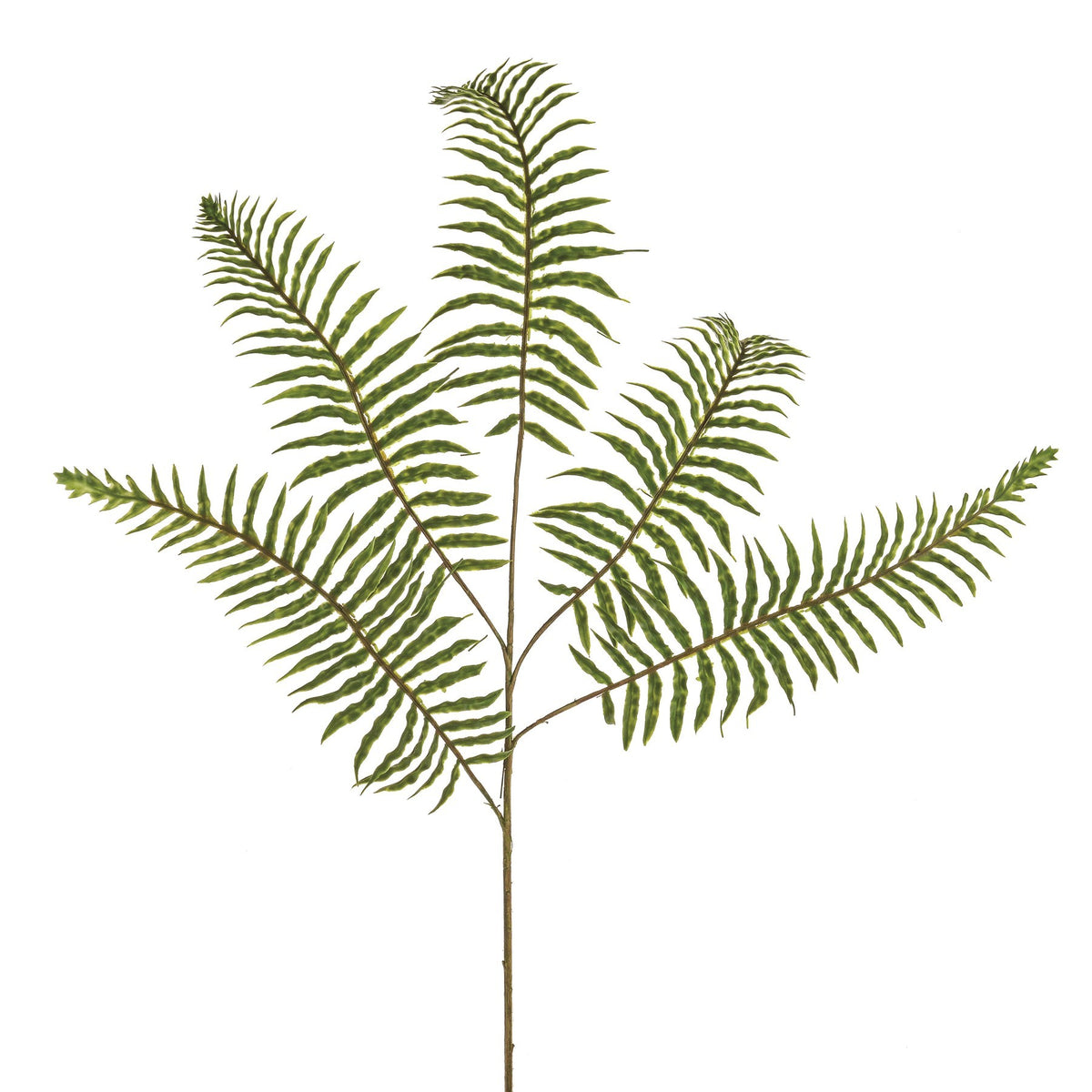Discover the Prestige Fern Spray (74cm) at Bristow Direct