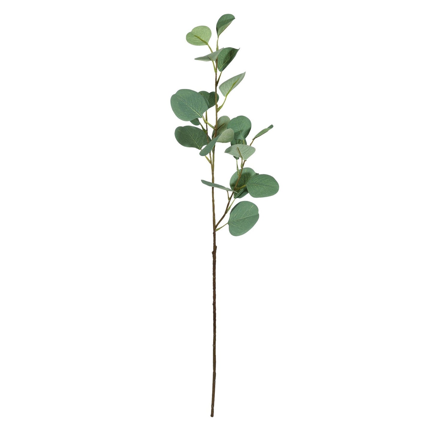 Green Eucalyptus Spray (75cm)