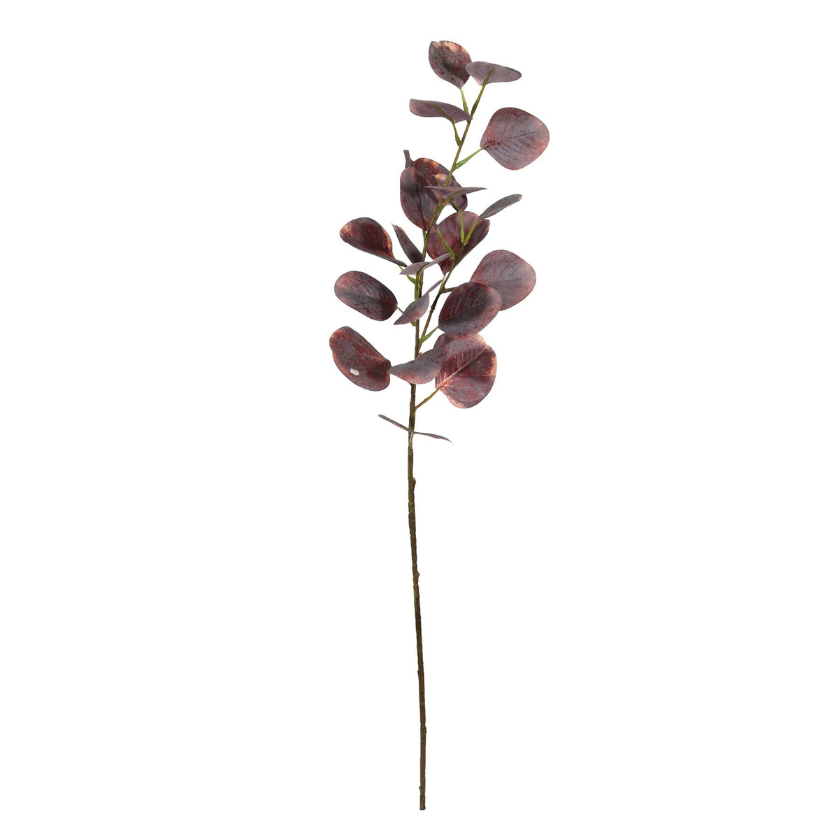 Discover the Burgundy Eucalyptus Spray (75cm) at Bristow Direct
