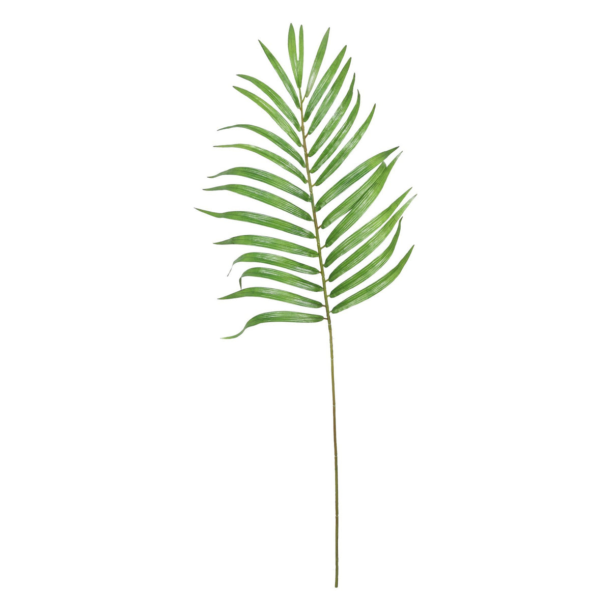 Discover the Green Mascarena Leaf Spray (82cm) at Bristow Direct