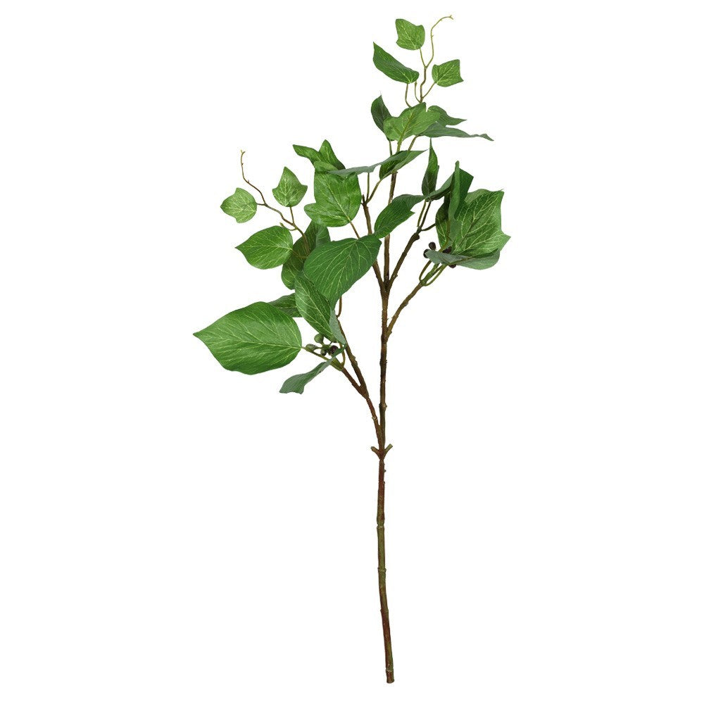 Discover the Single Hedera (54cm) at Bristow Direct