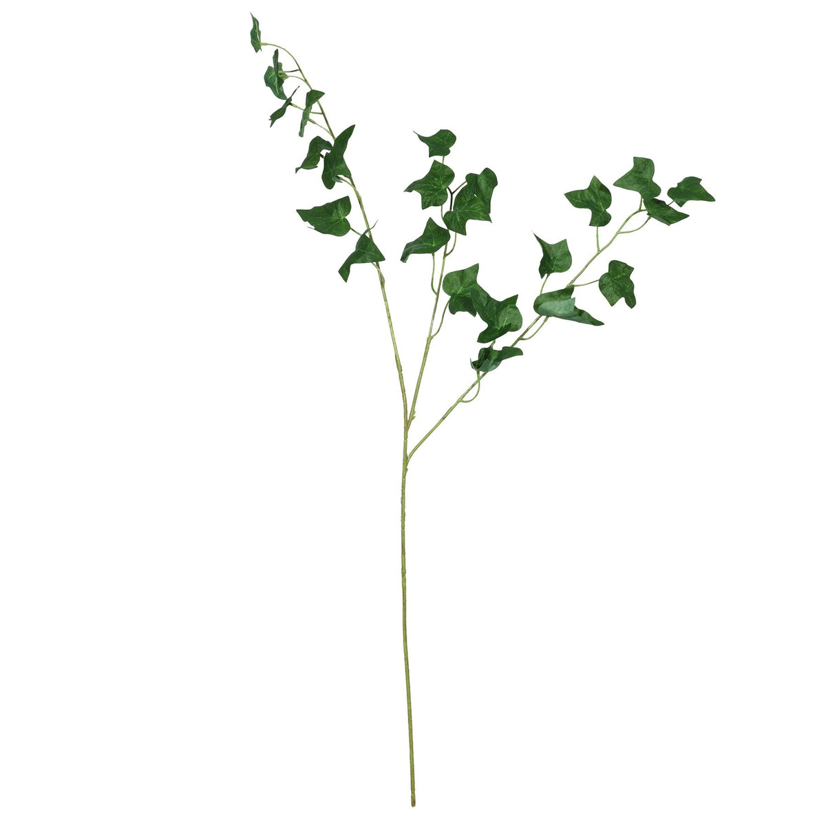 Discover the Green English Ivy Leaf (80cm) at Bristow Direct