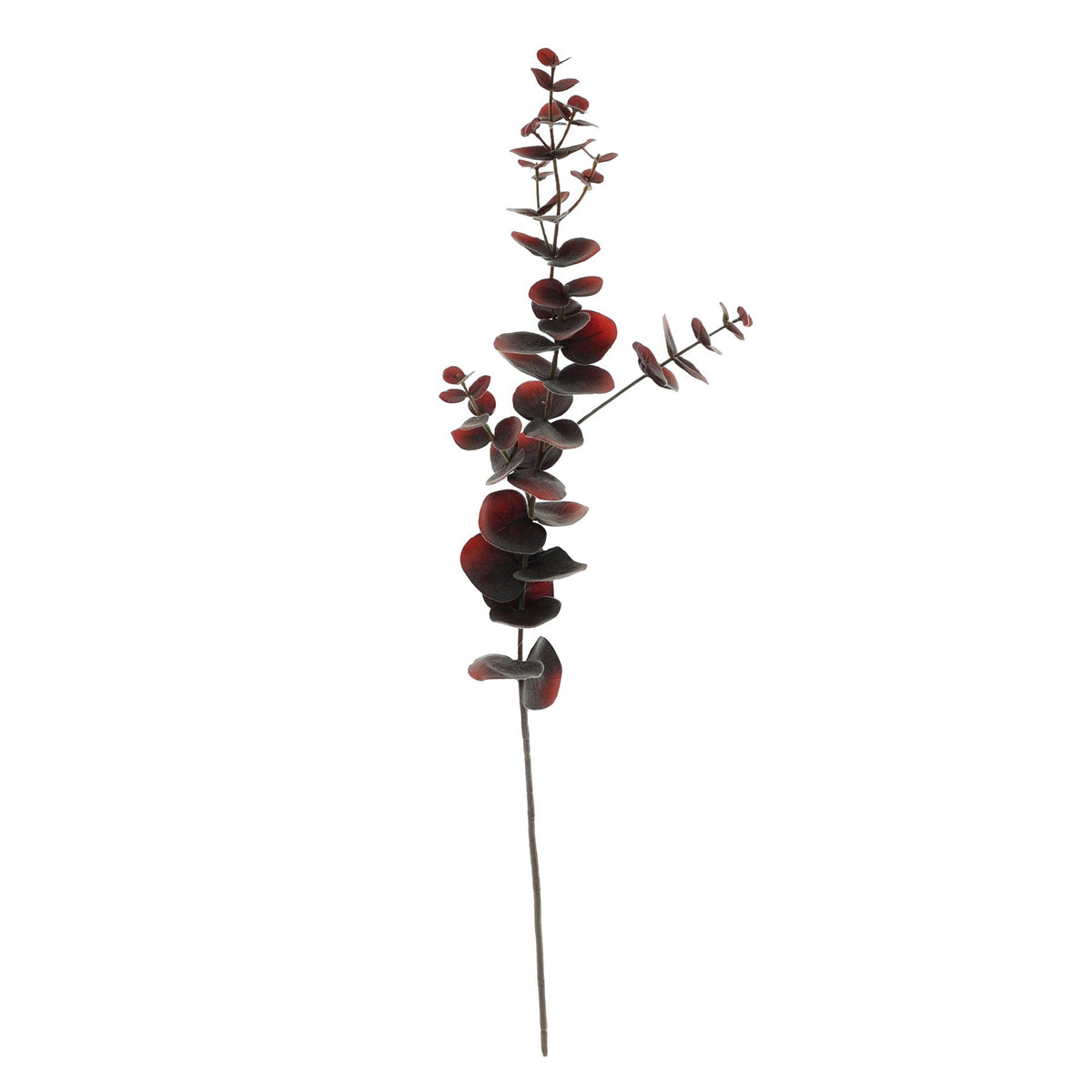 Discover the Brown Eucalyptus Spray (75cm) at Bristow Direct