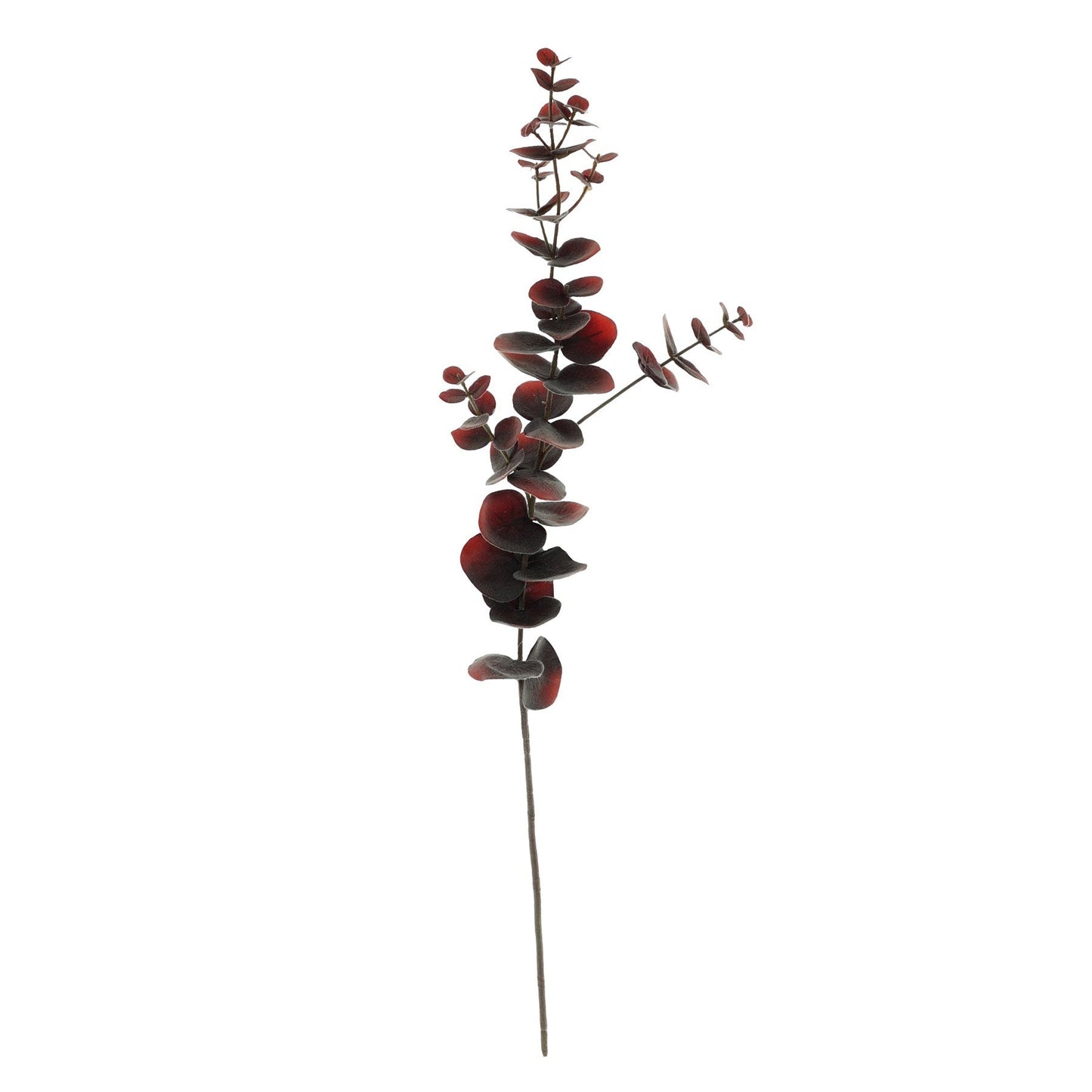 Brown Eucalyptus Spray (75cm)
