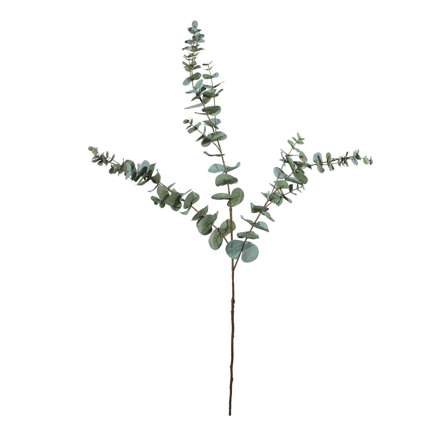 Discover the Green Eucalyptus Spray (105cm) at Bristow Direct