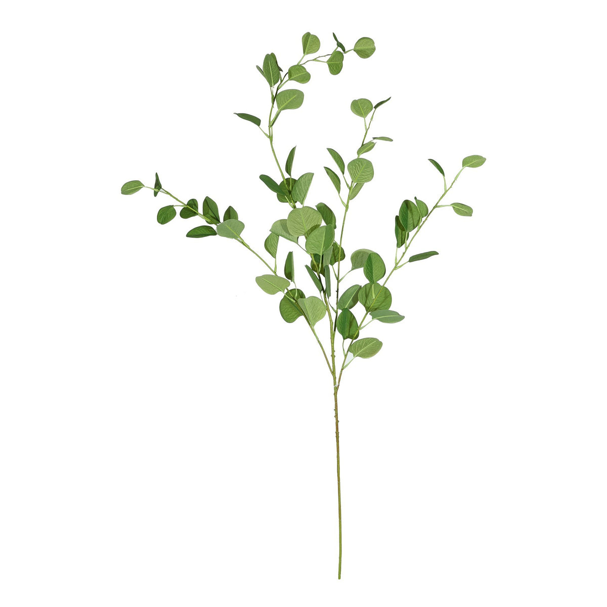 Discover the Green Eucalyptus Spray (109cm) at Bristow Direct