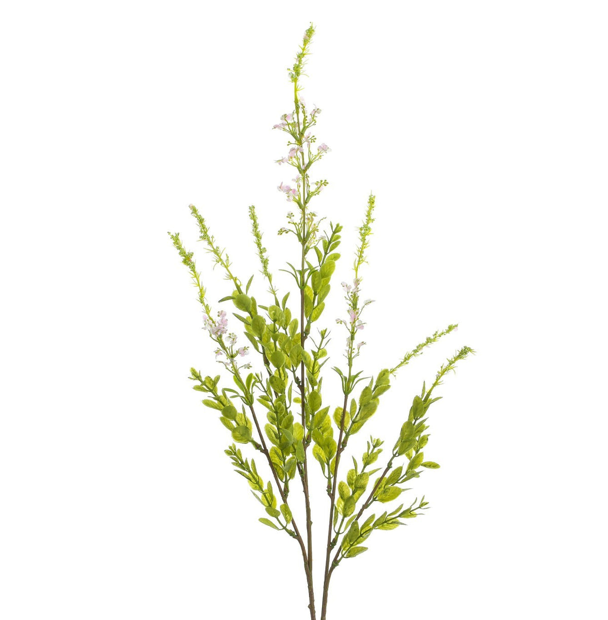 Discover the Pink Larkspur Spray (82cm) at Bristow Direct