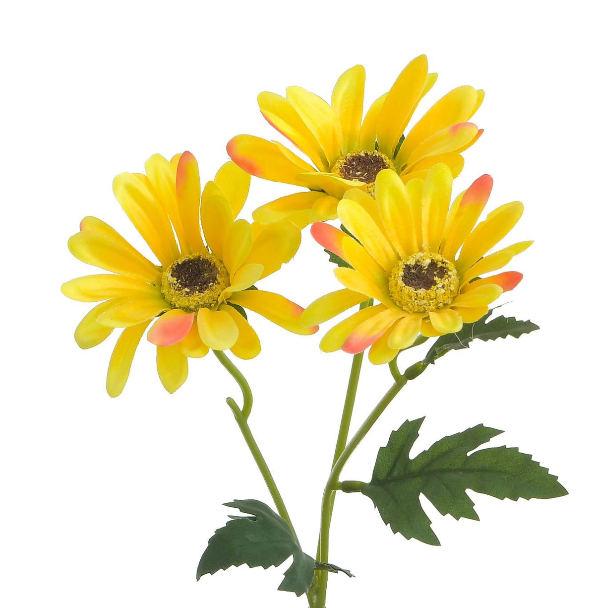 Discover the Yellow Gerbera Spray (42cm) at Bristow Direct