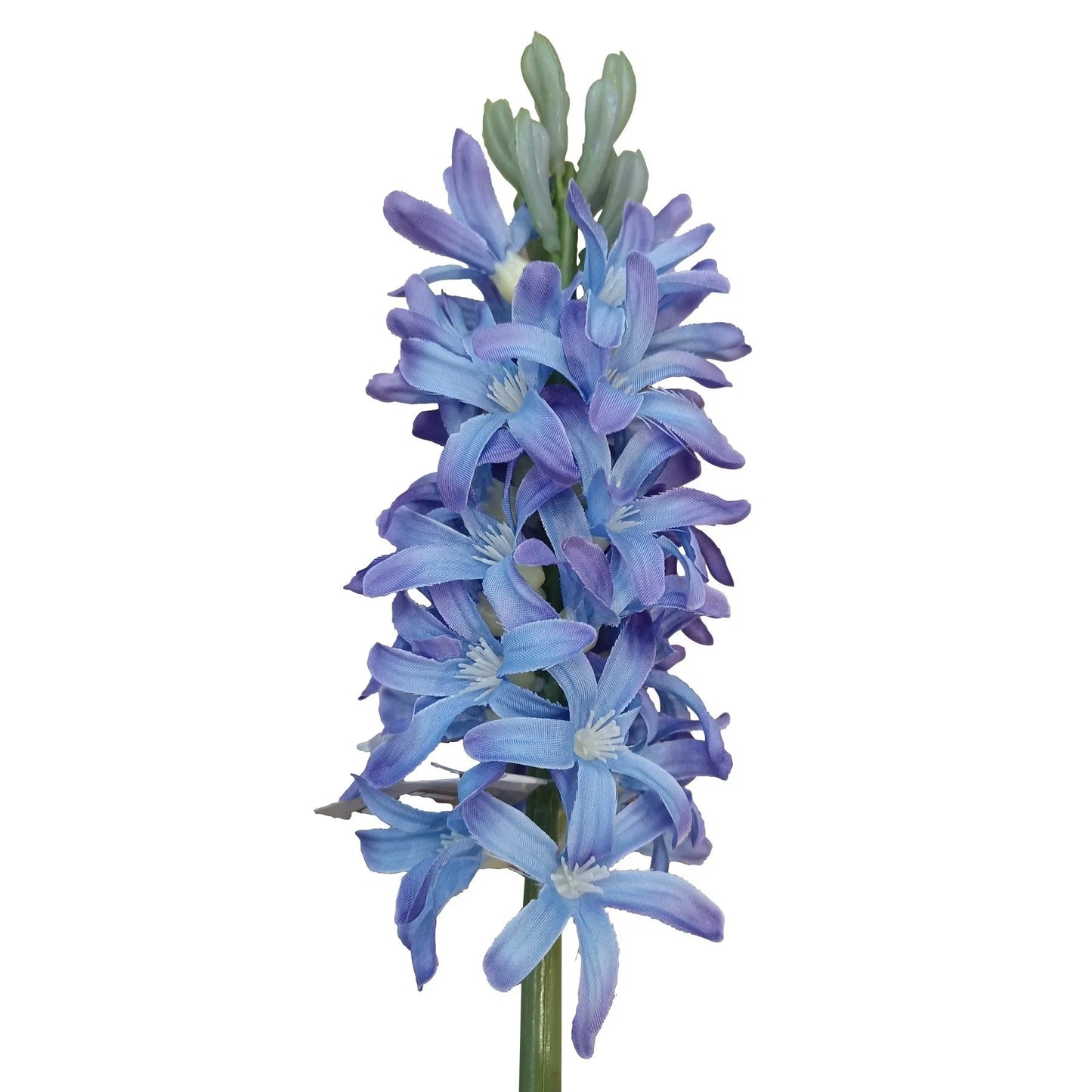 Discover the Blue Hyacinth (41.5cm) at Bristow Direct