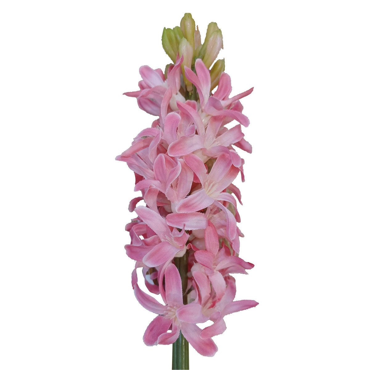 Discover the Pink Hyacinth (41.5cm) at Bristow Direct