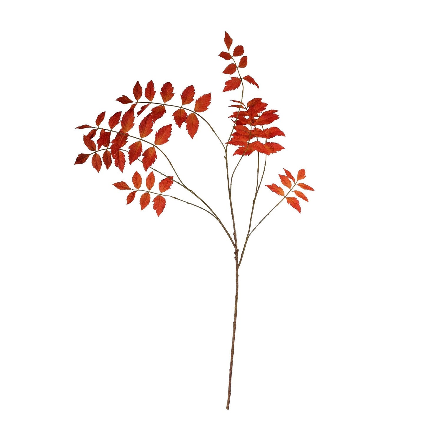 Discover the Red Rhus Typhina Leaf Spray (111cm) at Bristow Direct