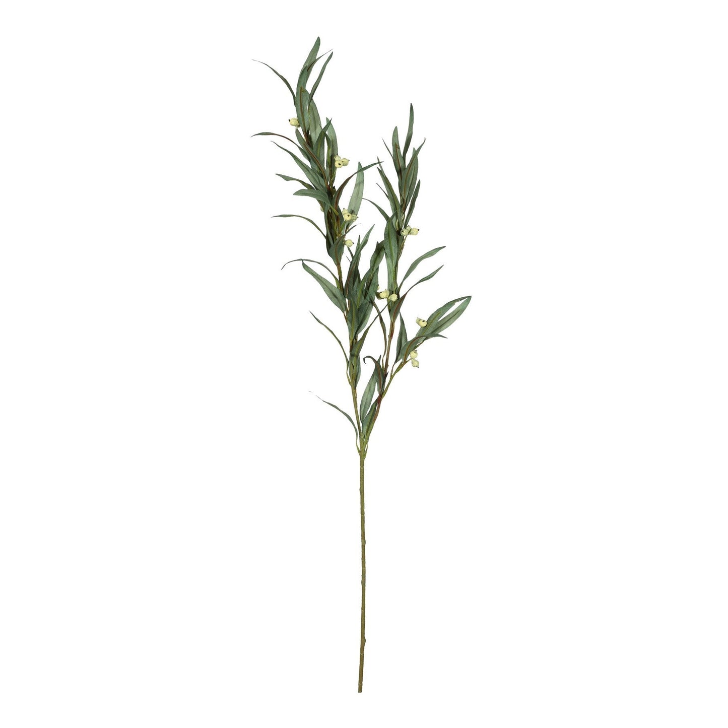 Discover the Eucalyptus Berry (88cm) at Bristow Direct