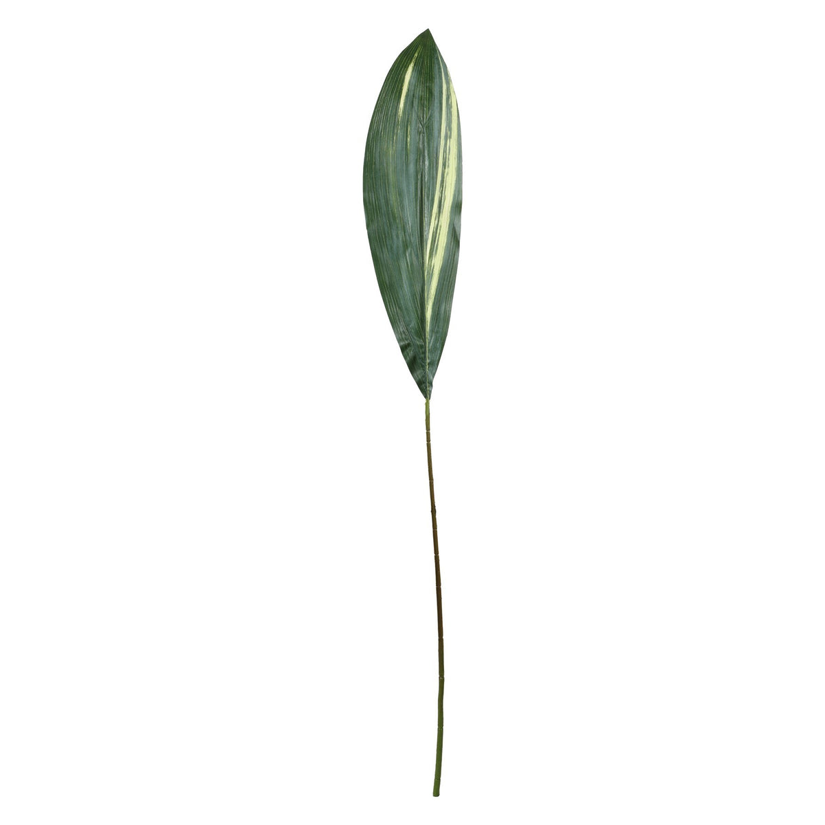 Discover the Aspidistra Spray (130cm) at Bristow Direct