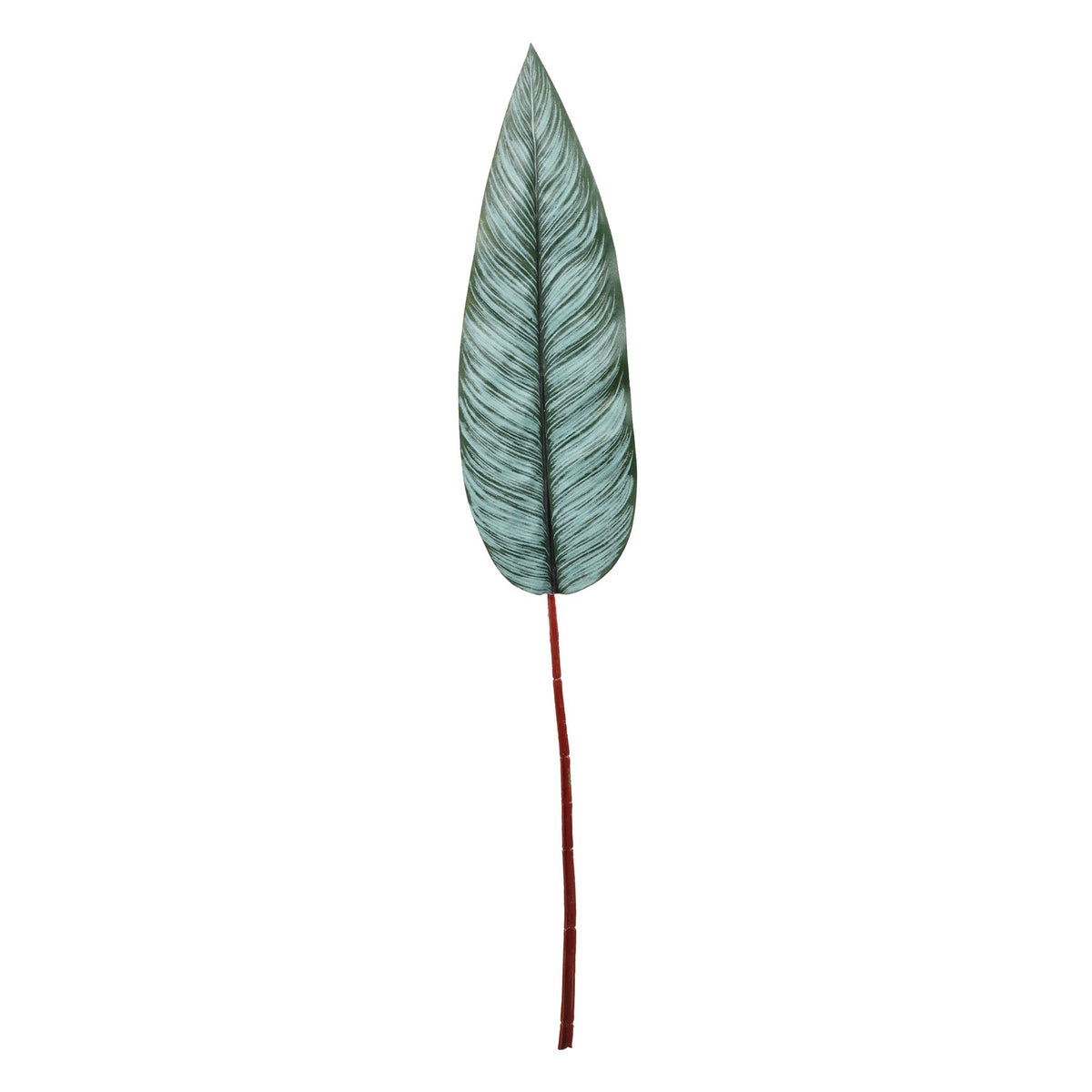 Discover the Bird Of Paradise Leaf (83cm) at Bristow Direct