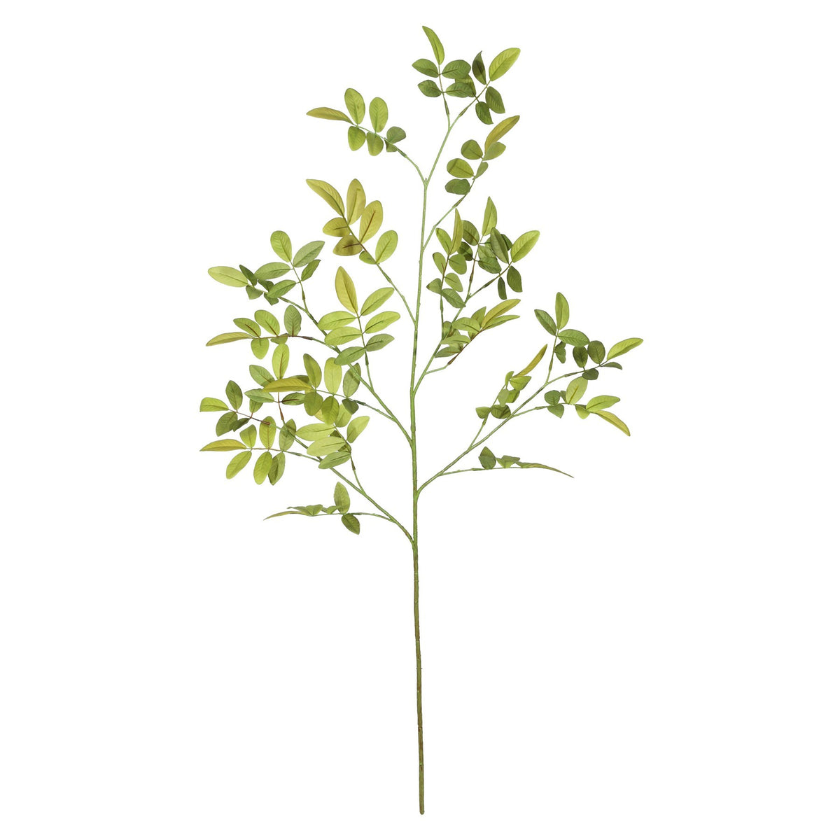 Discover the Green Leaf Spray (99cm) at Bristow Direct