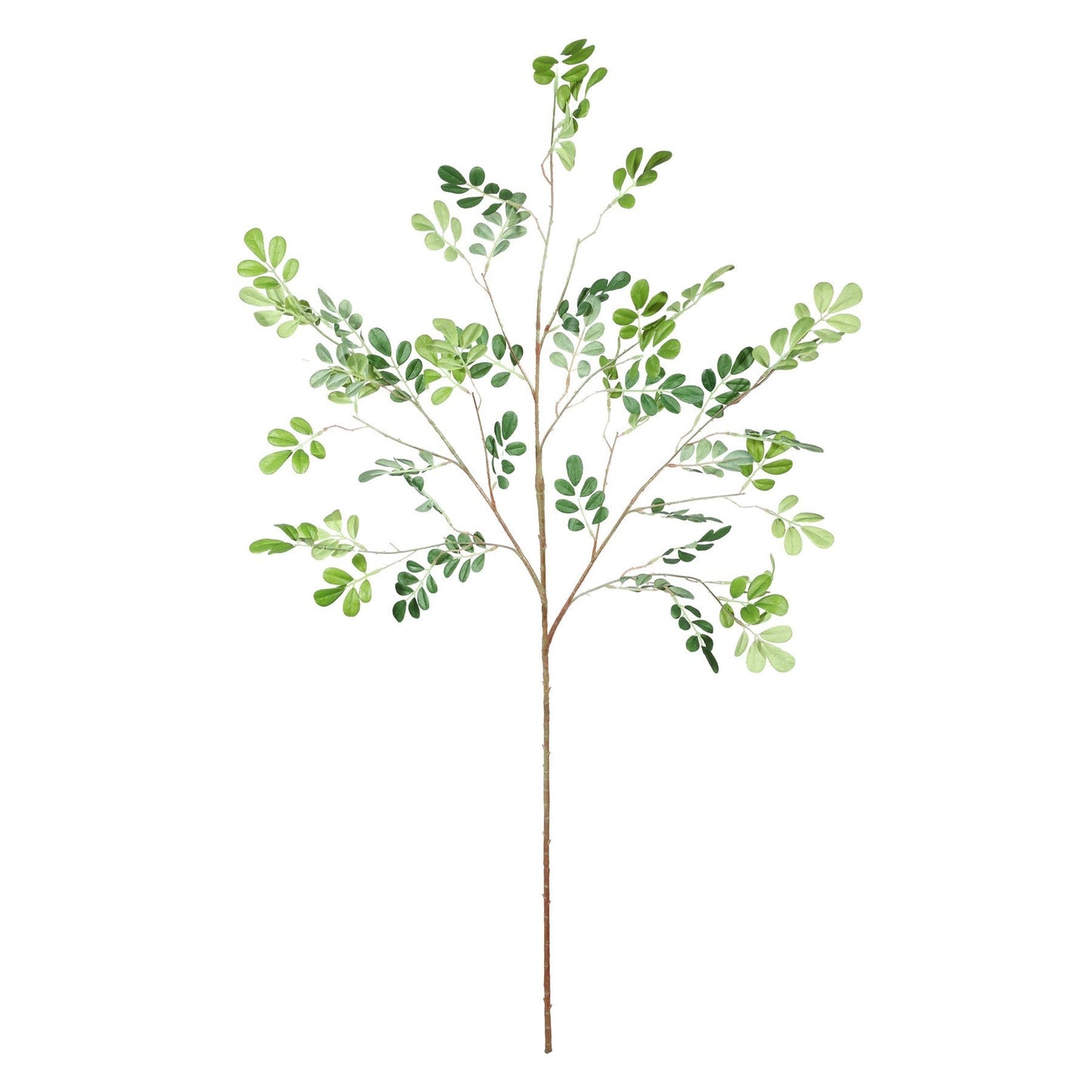 Discover the Green Leaf Spray (101cm) at Bristow Direct