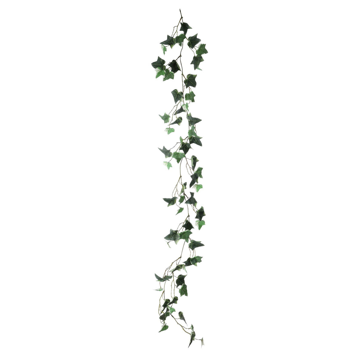 Discover the English Ivy Leaf Garland (143cm) at Bristow Direct