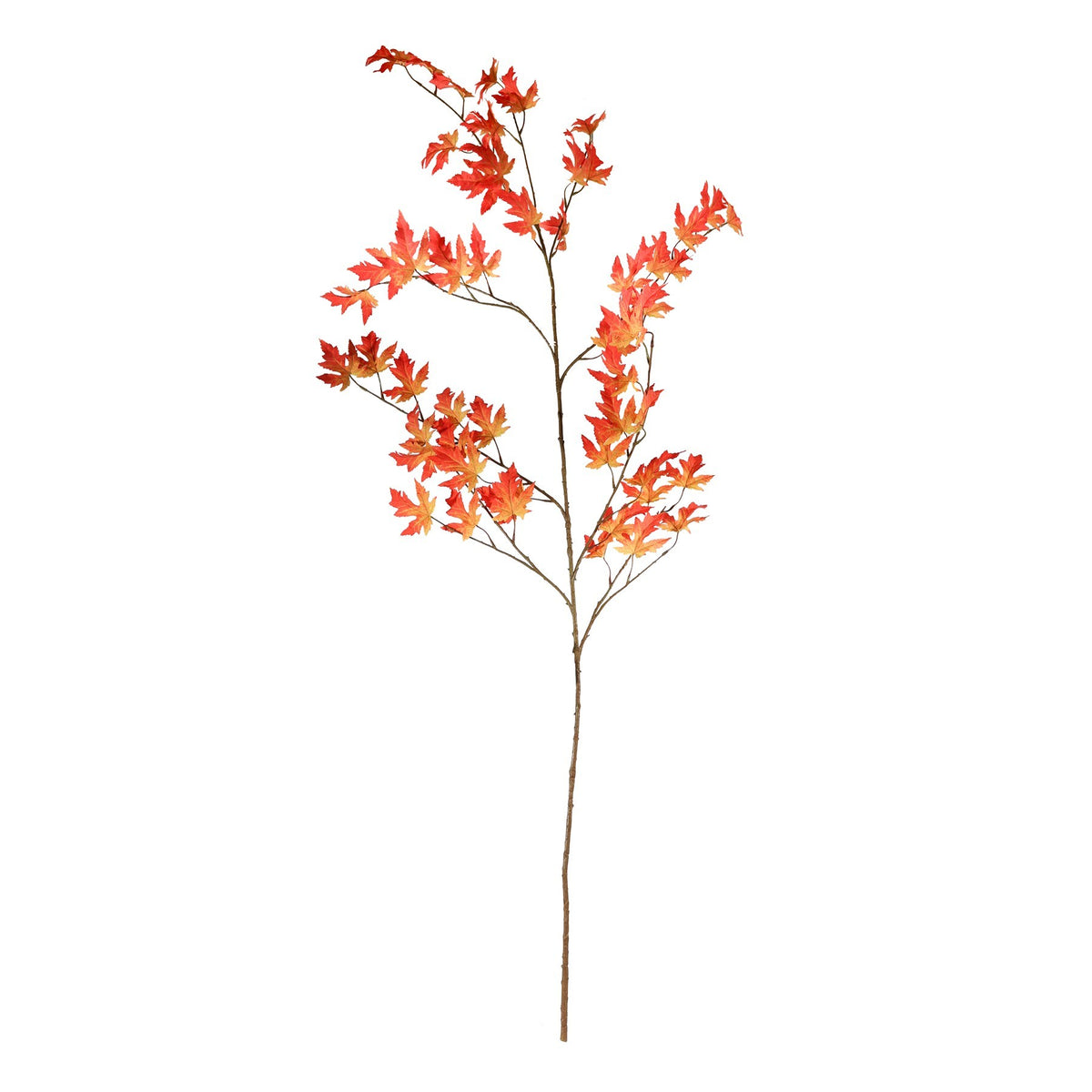 Discover the Orange Maple Leaf (172cm) at Bristow Direct