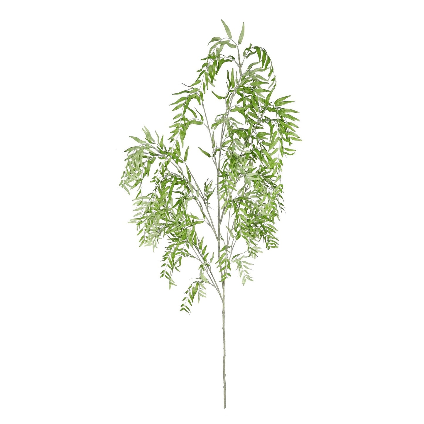 Discover the Green Leaf Spray (167cm) at Bristow Direct
