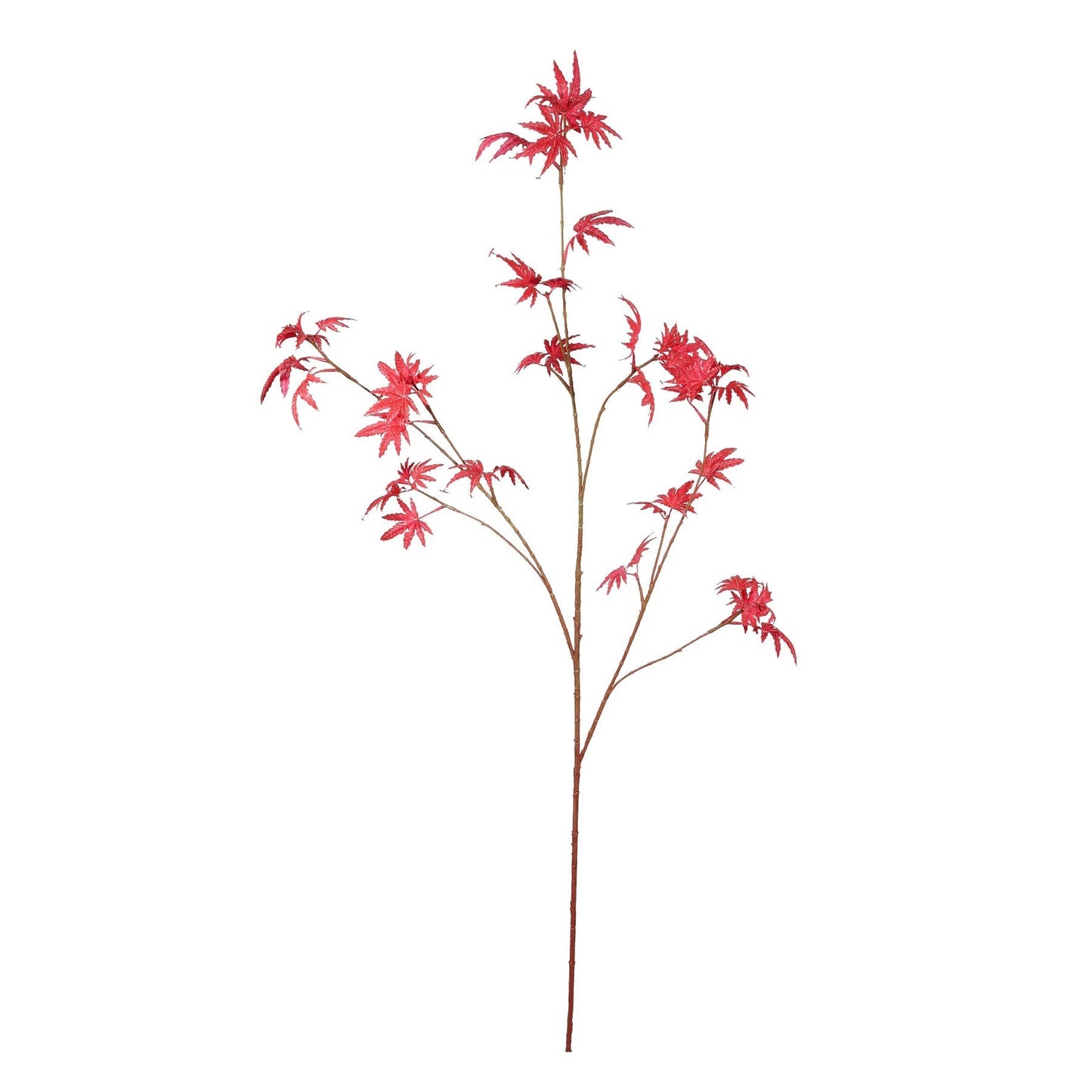 Discover the Red Maple Leaf Stem (116cm) at Bristow Direct
