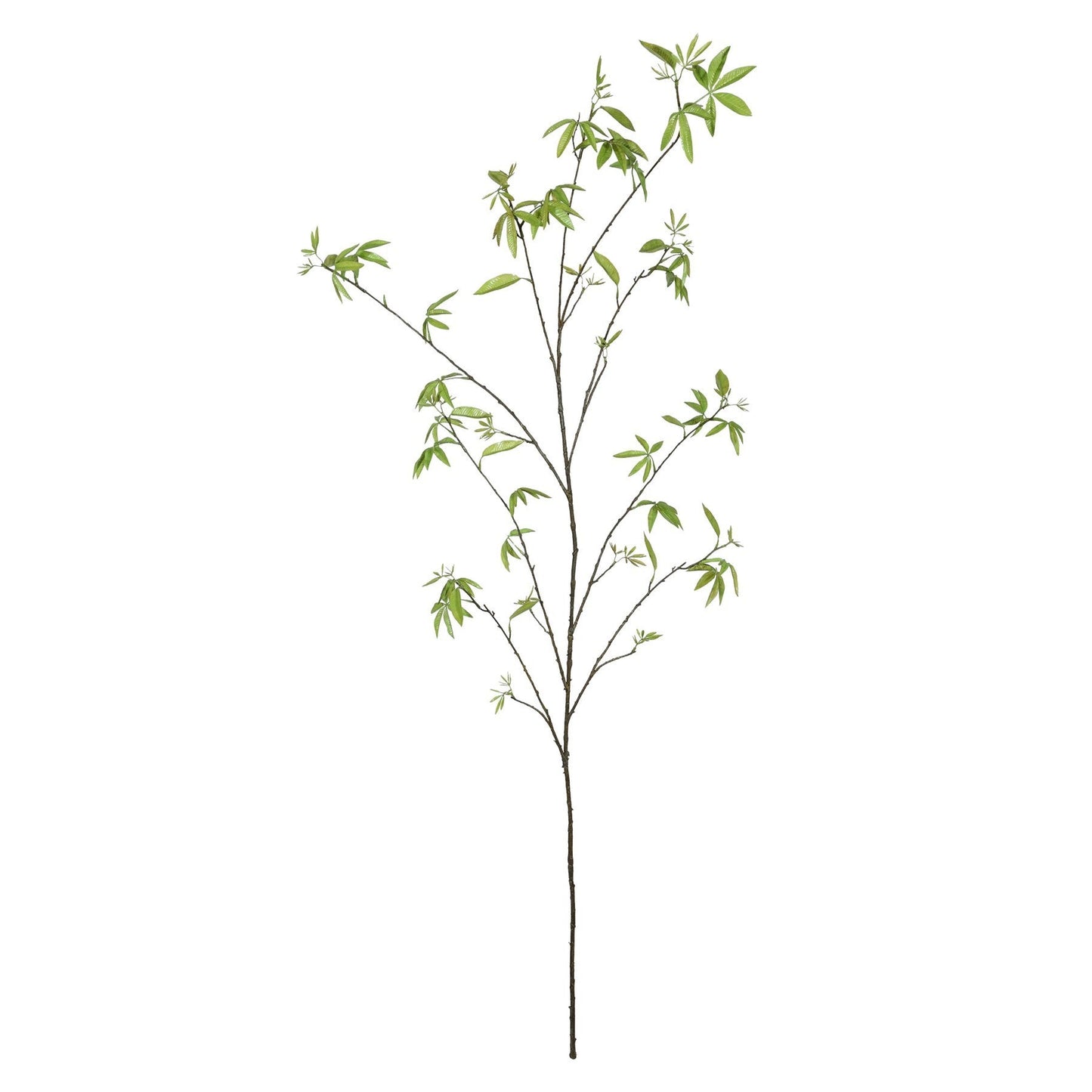 Discover the Acer Leaf Spray (172cm) at Bristow Direct