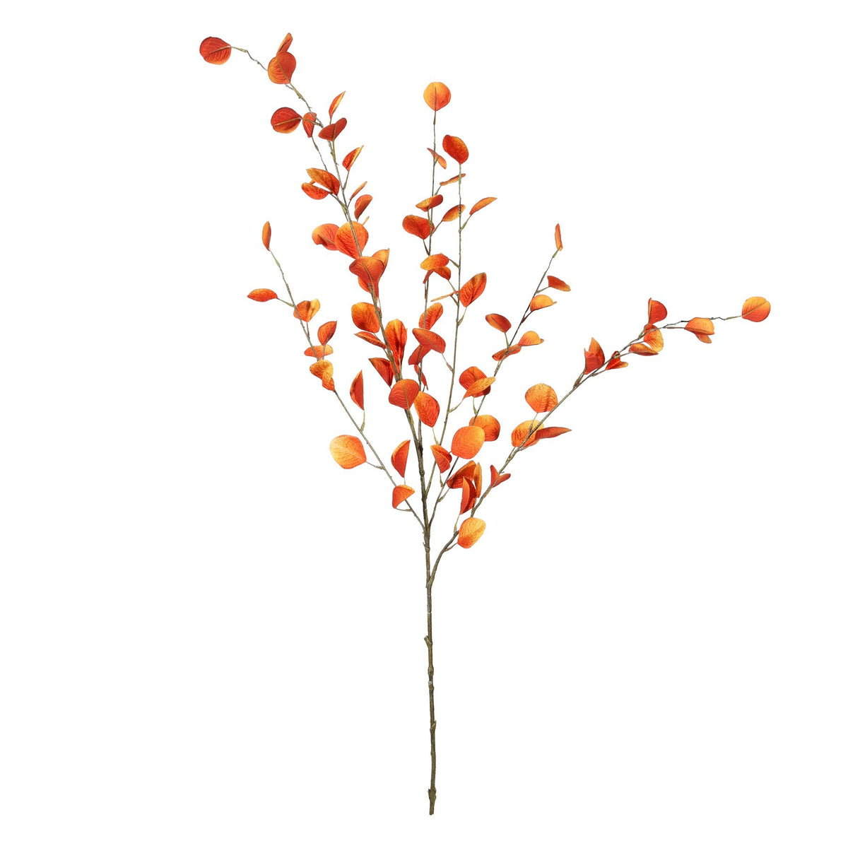 Discover the Orange Eucalyptus Spray (121cm) at Bristow Direct