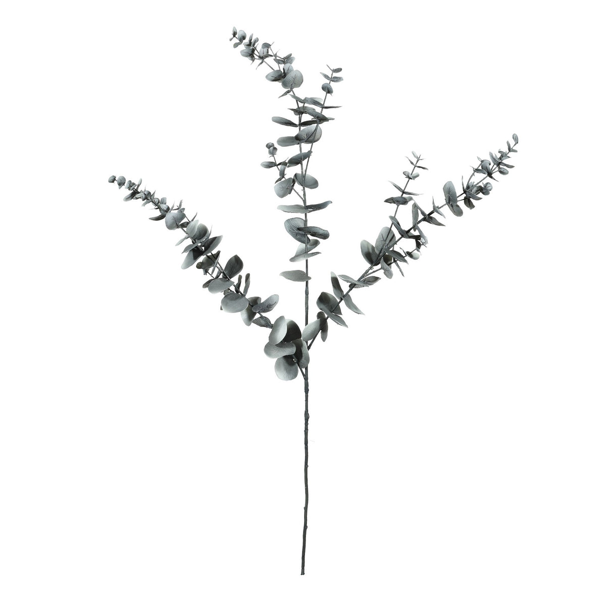 Discover the Eucalyptus Spray (105cm) at Bristow Direct