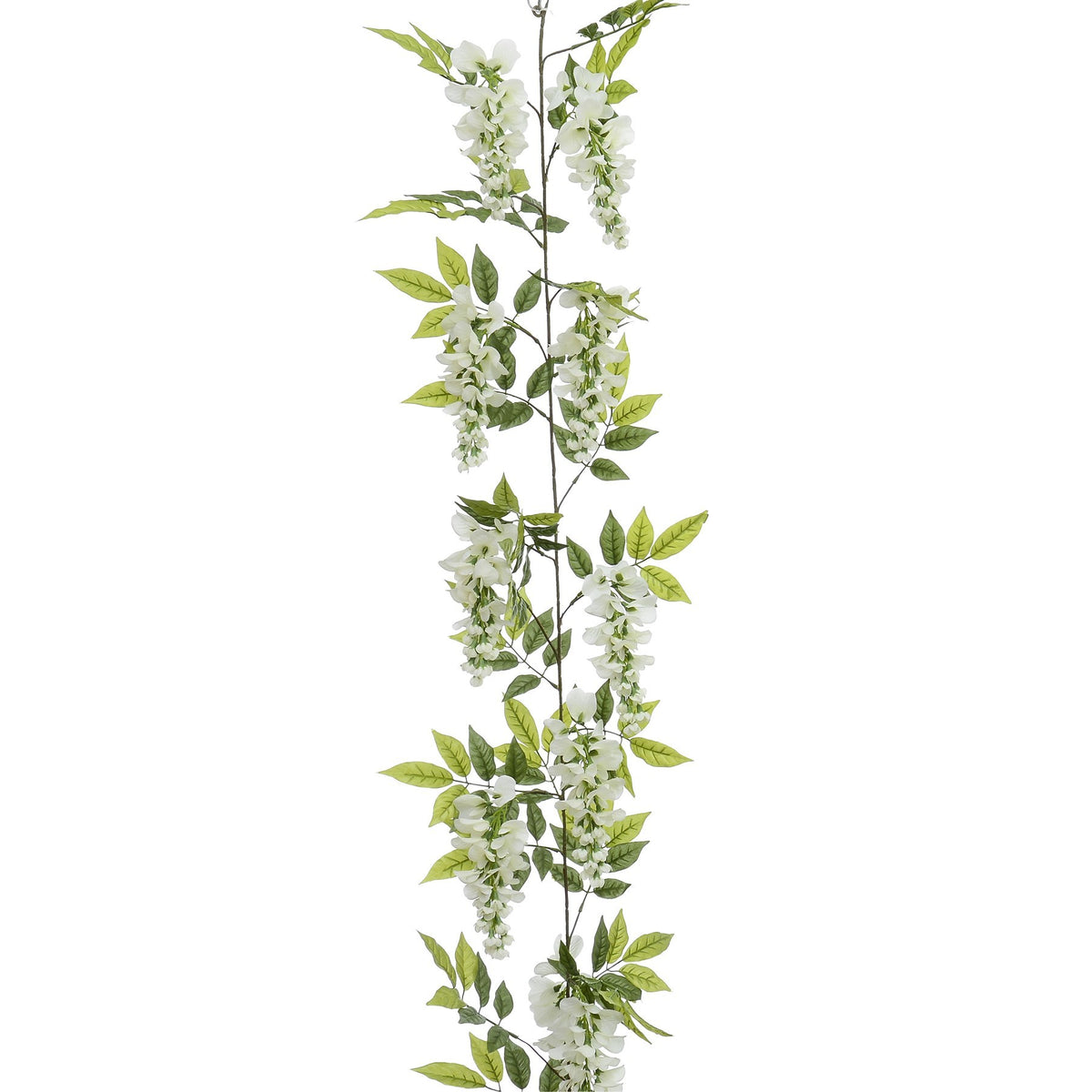 Discover the Cream Wisteria Garland (210cm) at Bristow Direct
