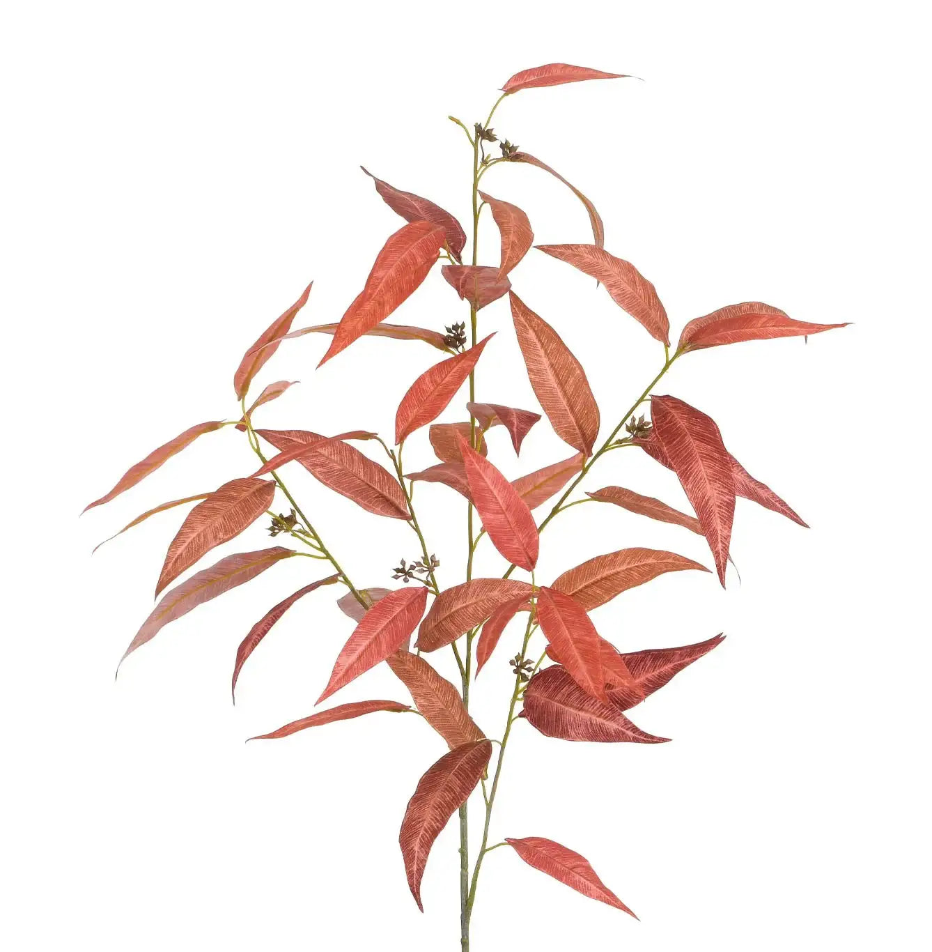 Red Leaf Spray