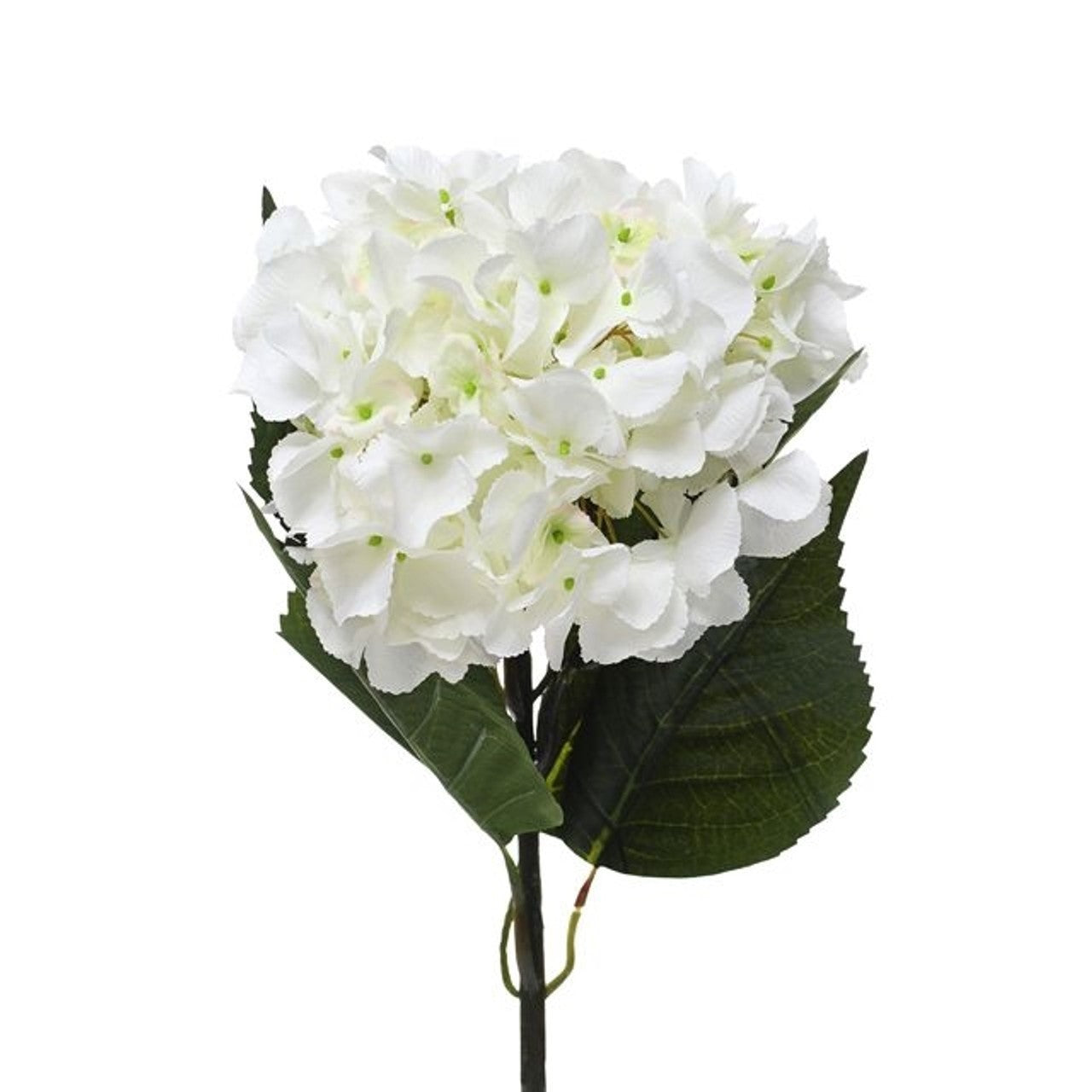 Cream Hydrangea Extra Large