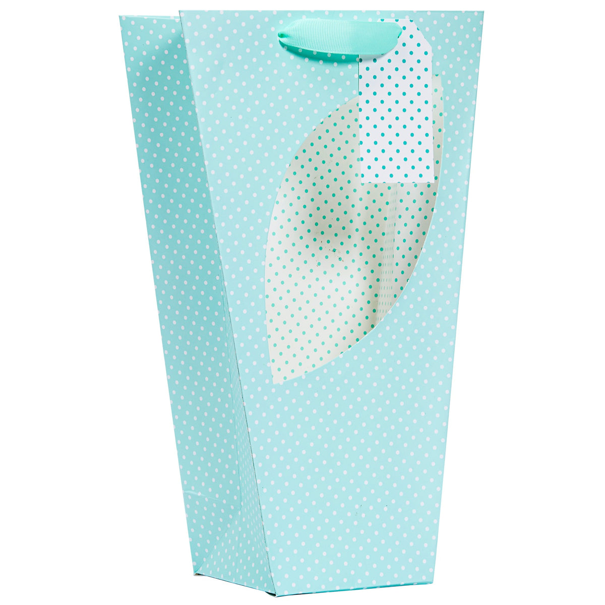 Discover the Mint Polka Orchid Bag (Medium) at Bristow Direct