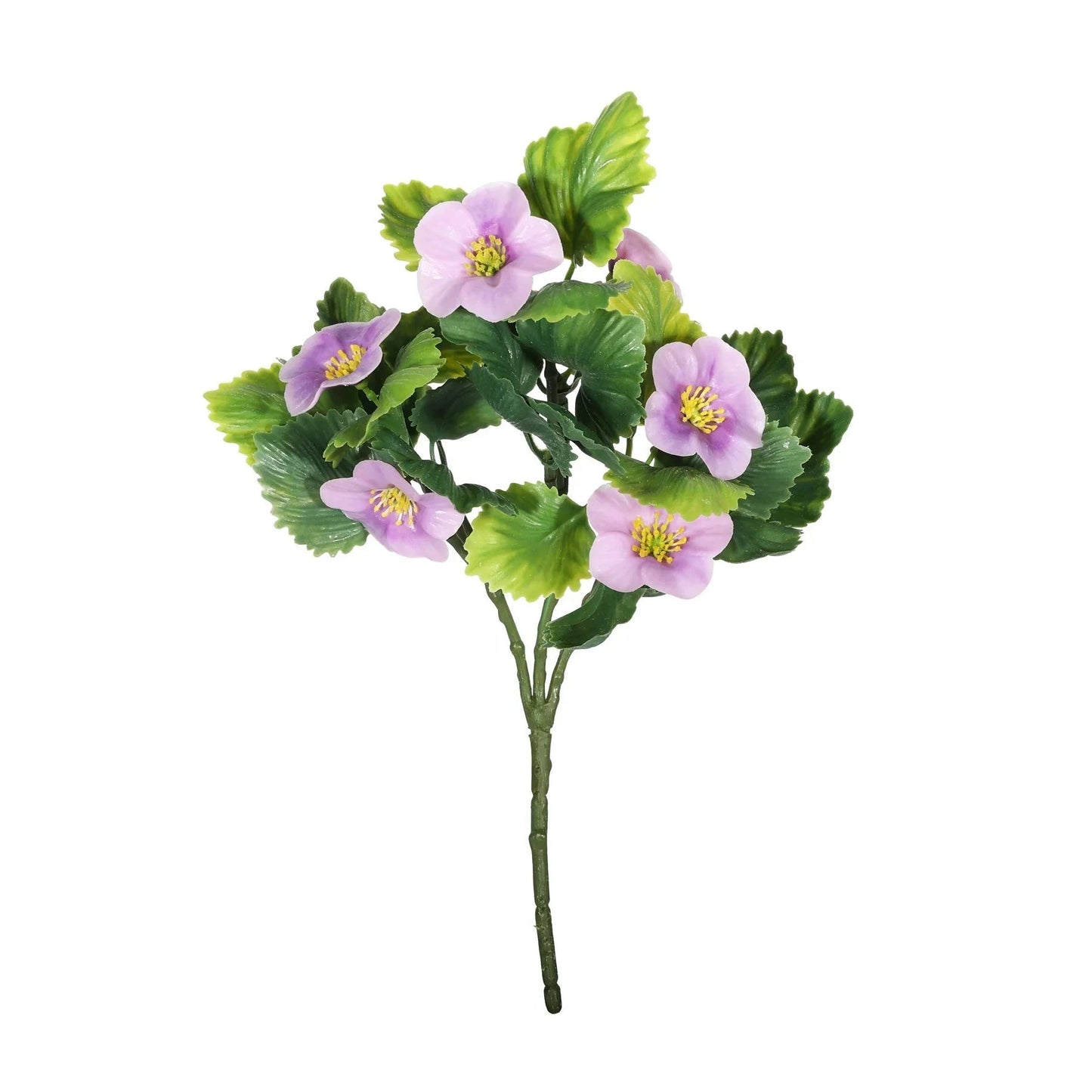 Discover the UV Exterior Lilac Junglist Pansy Bush (21cm) at Bristow Direct