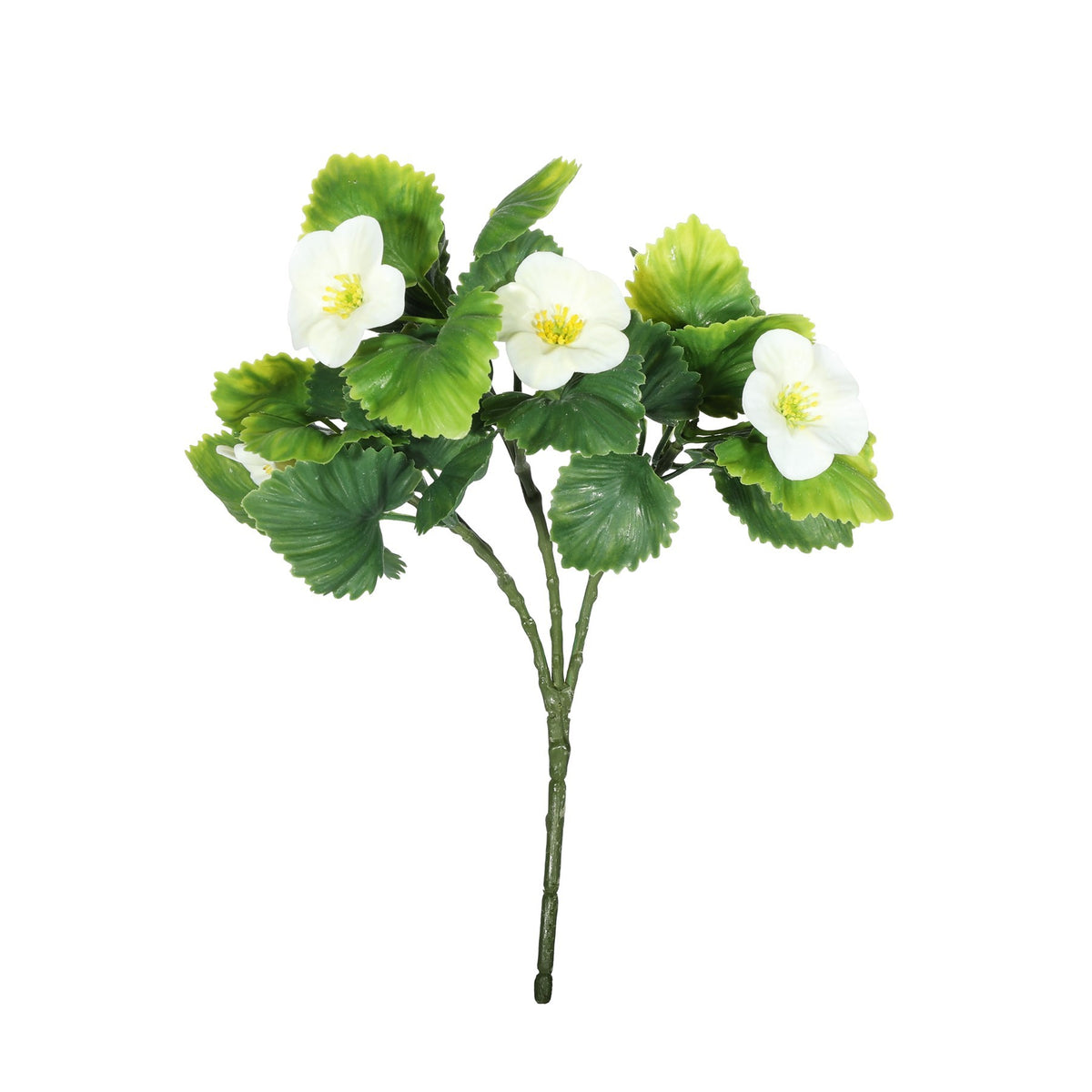 Discover the UV Exterior Cream Junglist Pansy Bush (21cm) at Bristow Direct