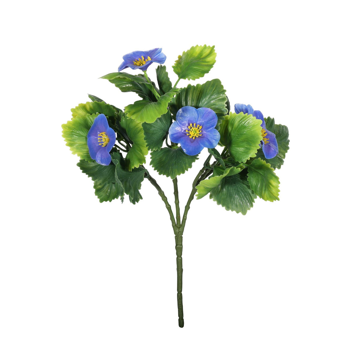 Discover the UV Exterior Purple Junglist Pansy Bush (21cm) at Bristow Direct