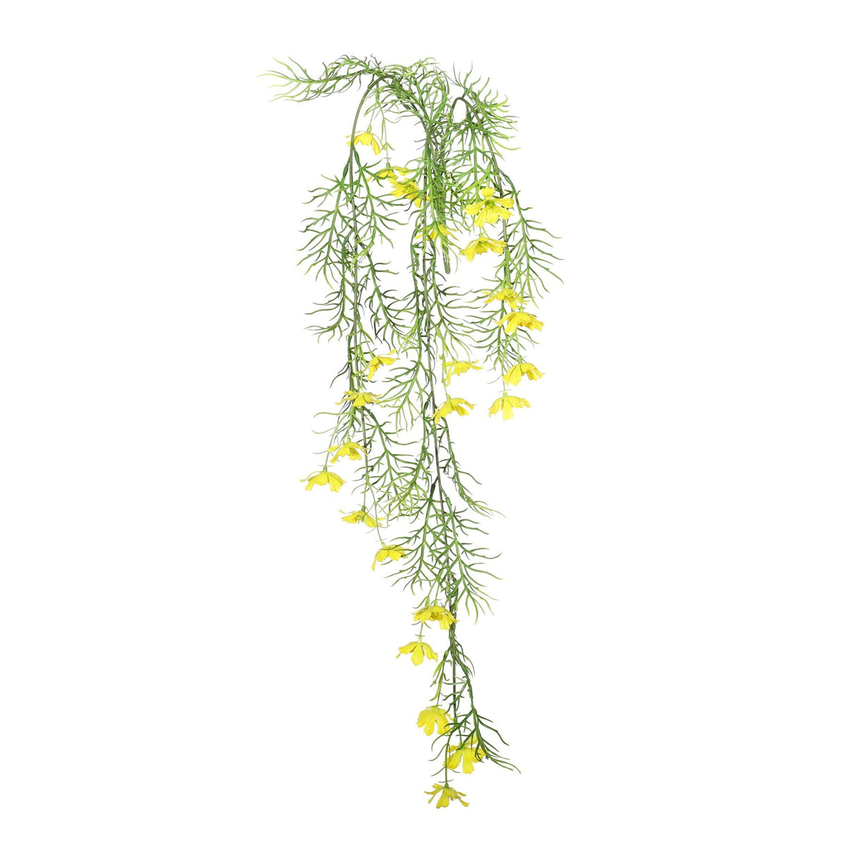 Discover the UV Exterior Yellow Cosmos Bush (72cm) at Bristow Direct