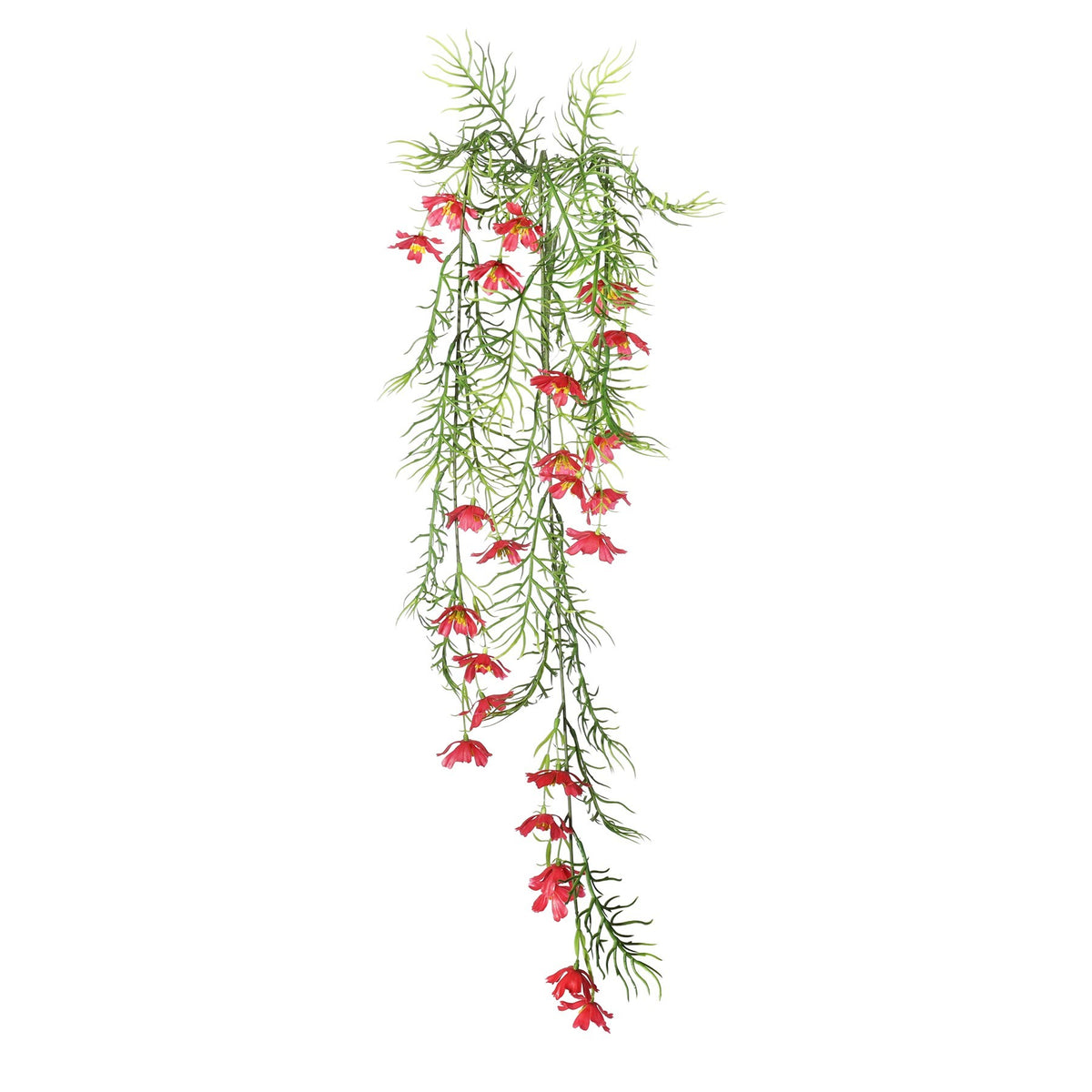 Discover the UV Exterior Red Cosmos Bush (72cm) at Bristow Direct