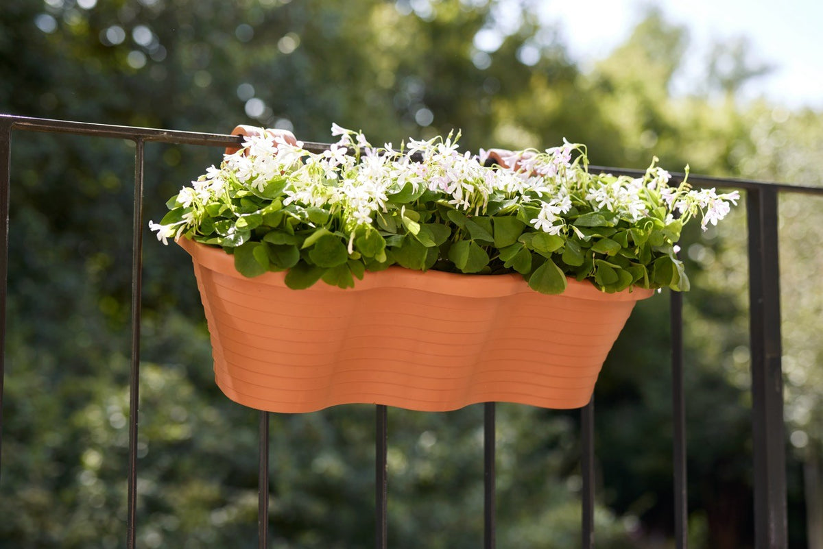 Discover the Terracotta Hanging Pot (10L) at Bristow Direct