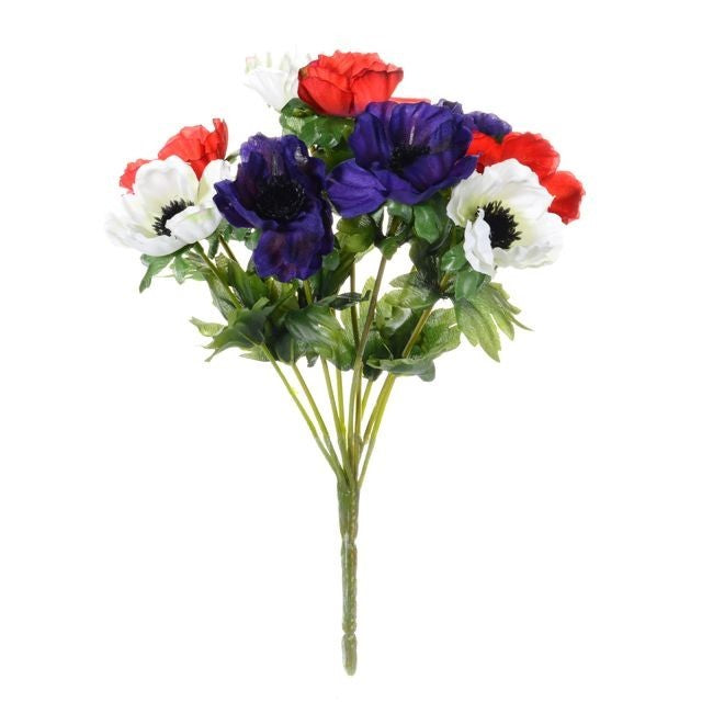 Discover the Red White Purple Anemone Bush at Bristow Direct