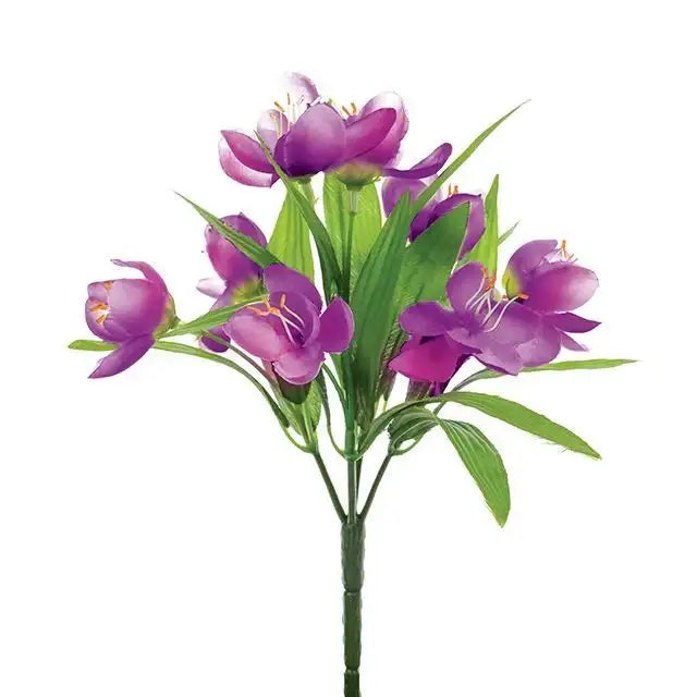 Purple Crocus Bush